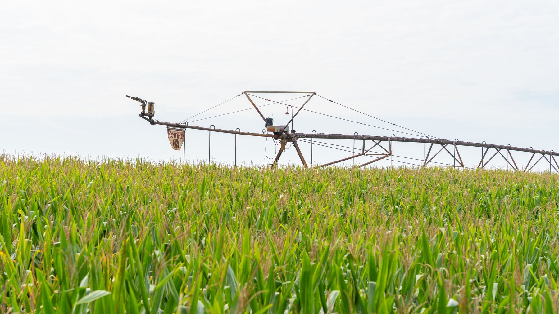 Image for Perryman Place - 305+/- Total Acres - Premium Row Crop Farm - Deep Well & 7 Irrigation Pivots