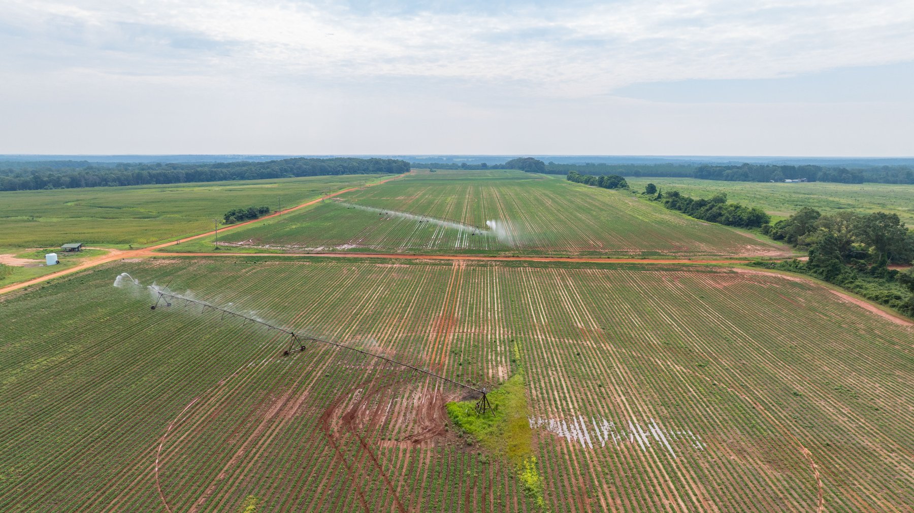 Image for Perryman Place - 305+/- Total Acres - Premium Row Crop Farm - Deep Well & 7 Irrigation Pivots