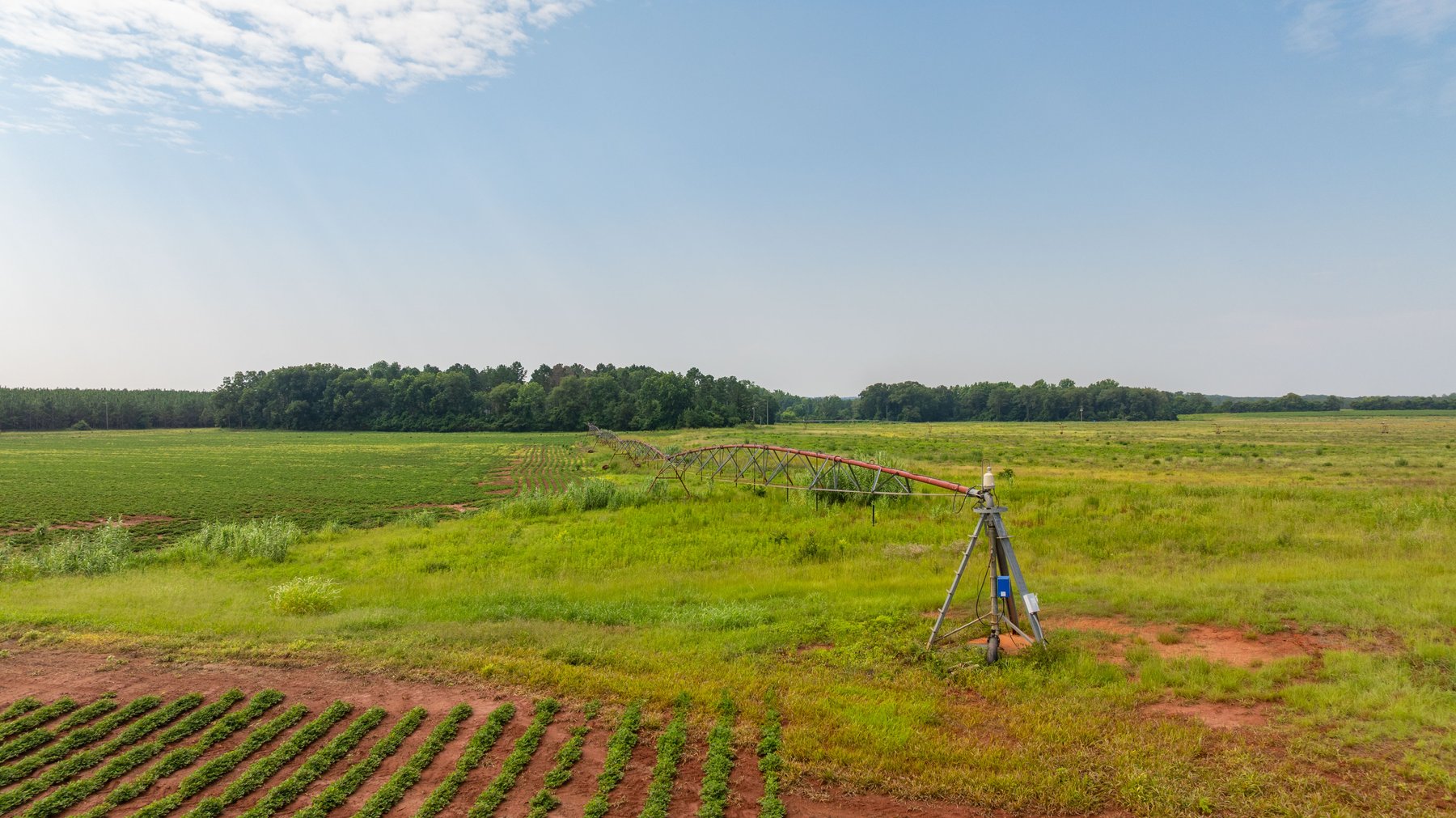 Image for Perryman Place - 305+/- Total Acres - Premium Row Crop Farm - Deep Well & 7 Irrigation Pivots