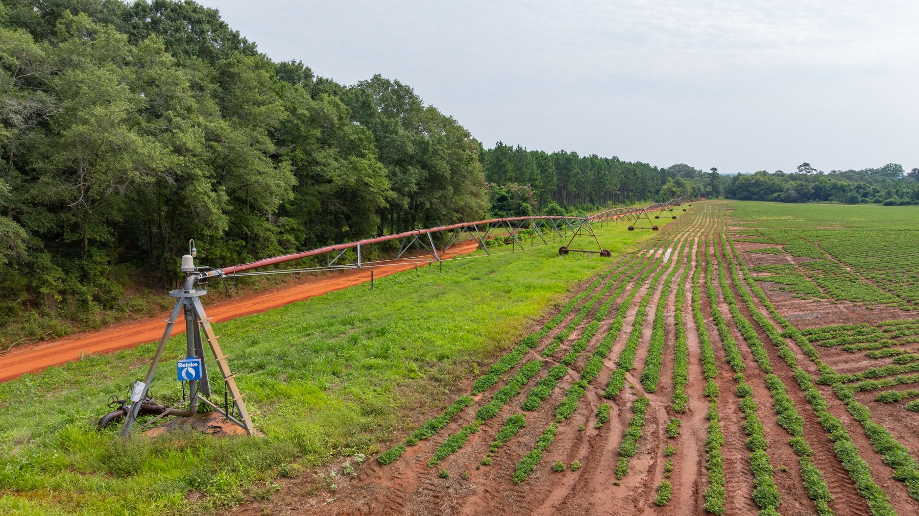 Image for Perryman Place - 305+/- Total Acres - Premium Row Crop Farm - Deep Well & 7 Irrigation Pivots