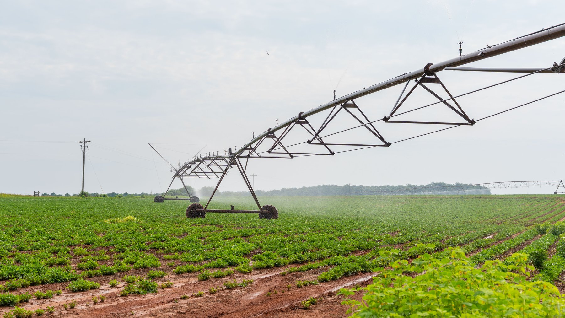 Image for Perryman Place - 305+/- Total Acres - Premium Row Crop Farm - Deep Well & 7 Irrigation Pivots