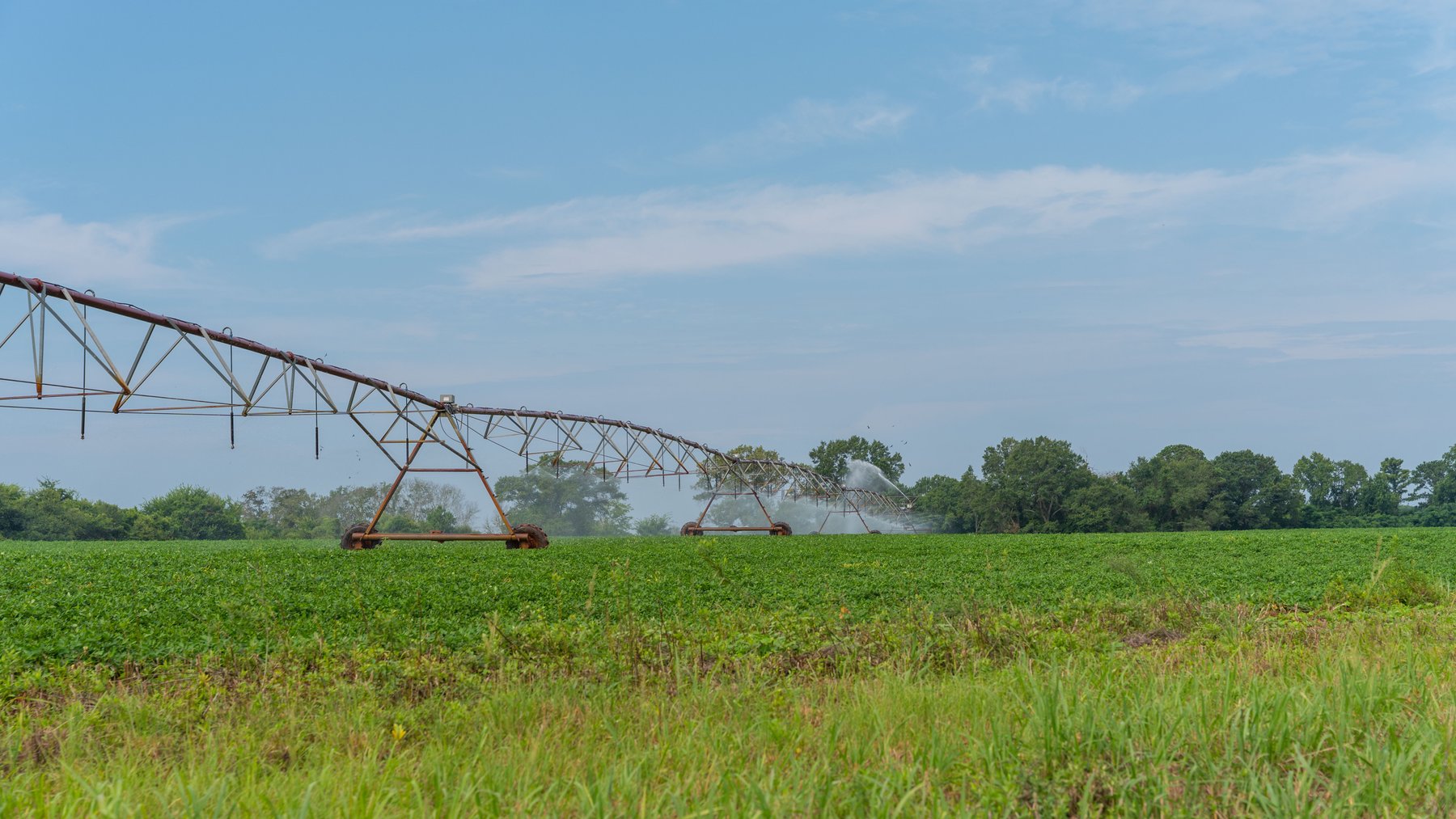 Image for Perryman Place - 305+/- Total Acres - Premium Row Crop Farm - Deep Well & 7 Irrigation Pivots