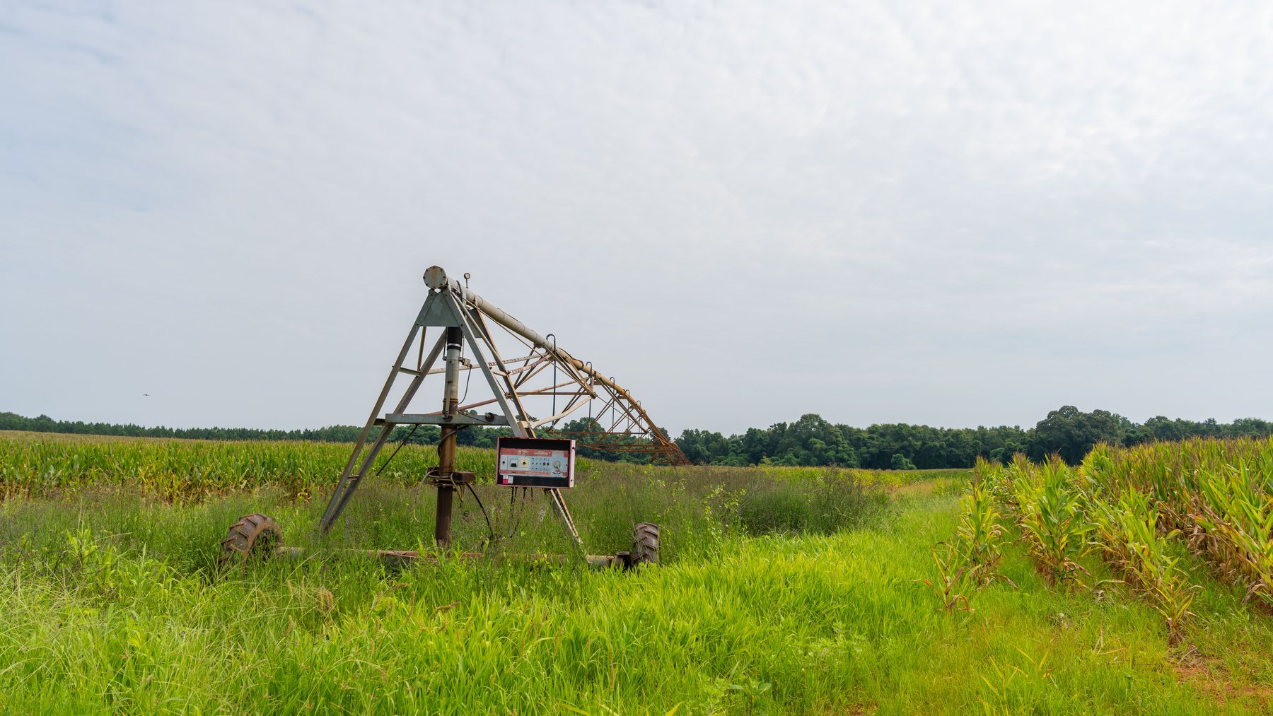 Image for Perryman Place - 305+/- Total Acres - Premium Row Crop Farm - Deep Well & 7 Irrigation Pivots