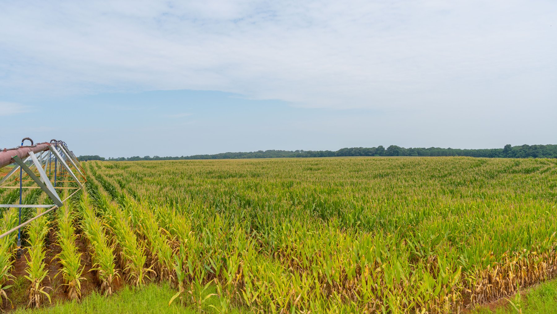 Image for Perryman Place - 305+/- Total Acres - Premium Row Crop Farm - Deep Well & 7 Irrigation Pivots