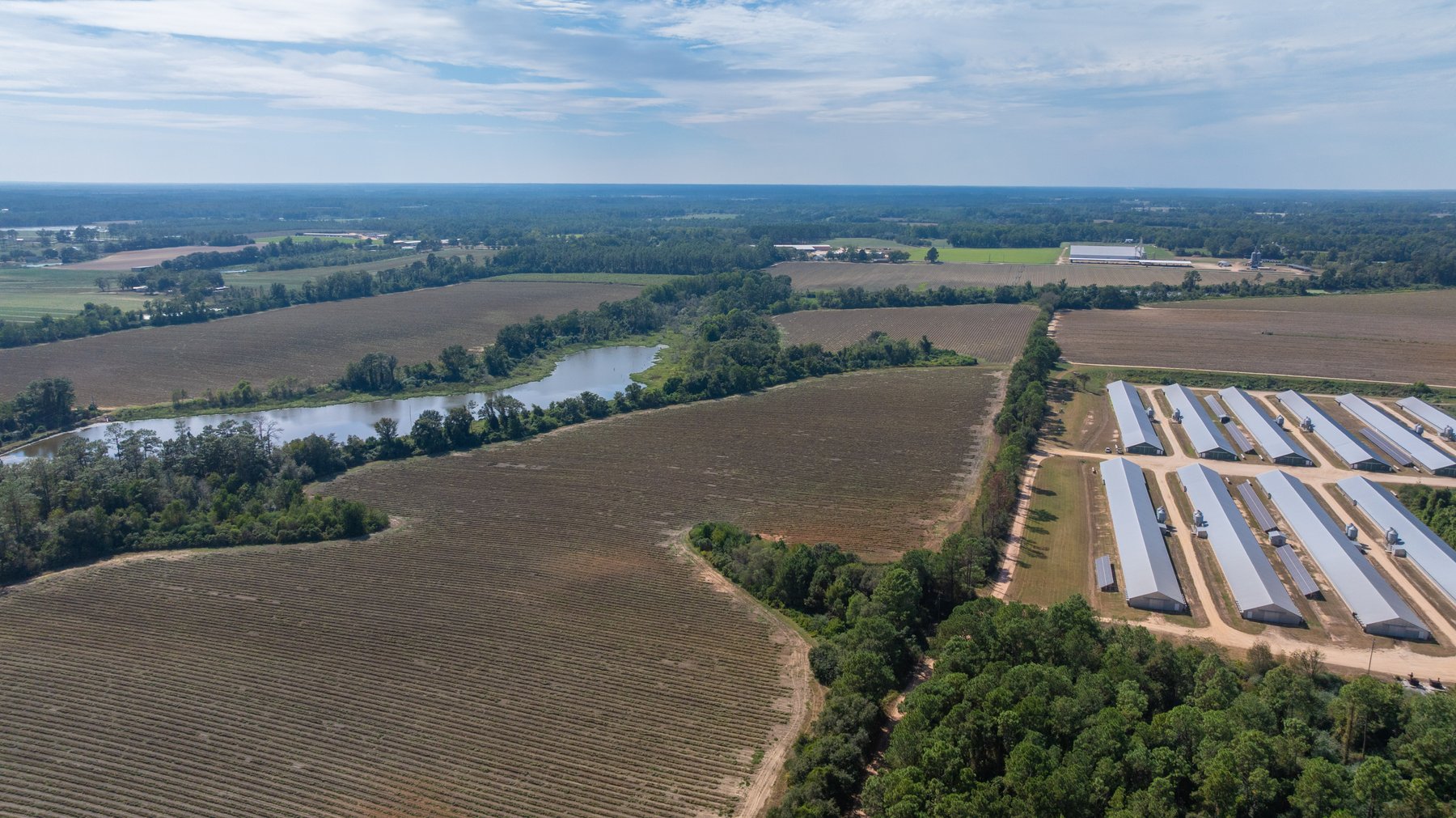 Image for The Earnest Lee Hunnicutt Estate - 64.86± Acres of Farmland & Recreation