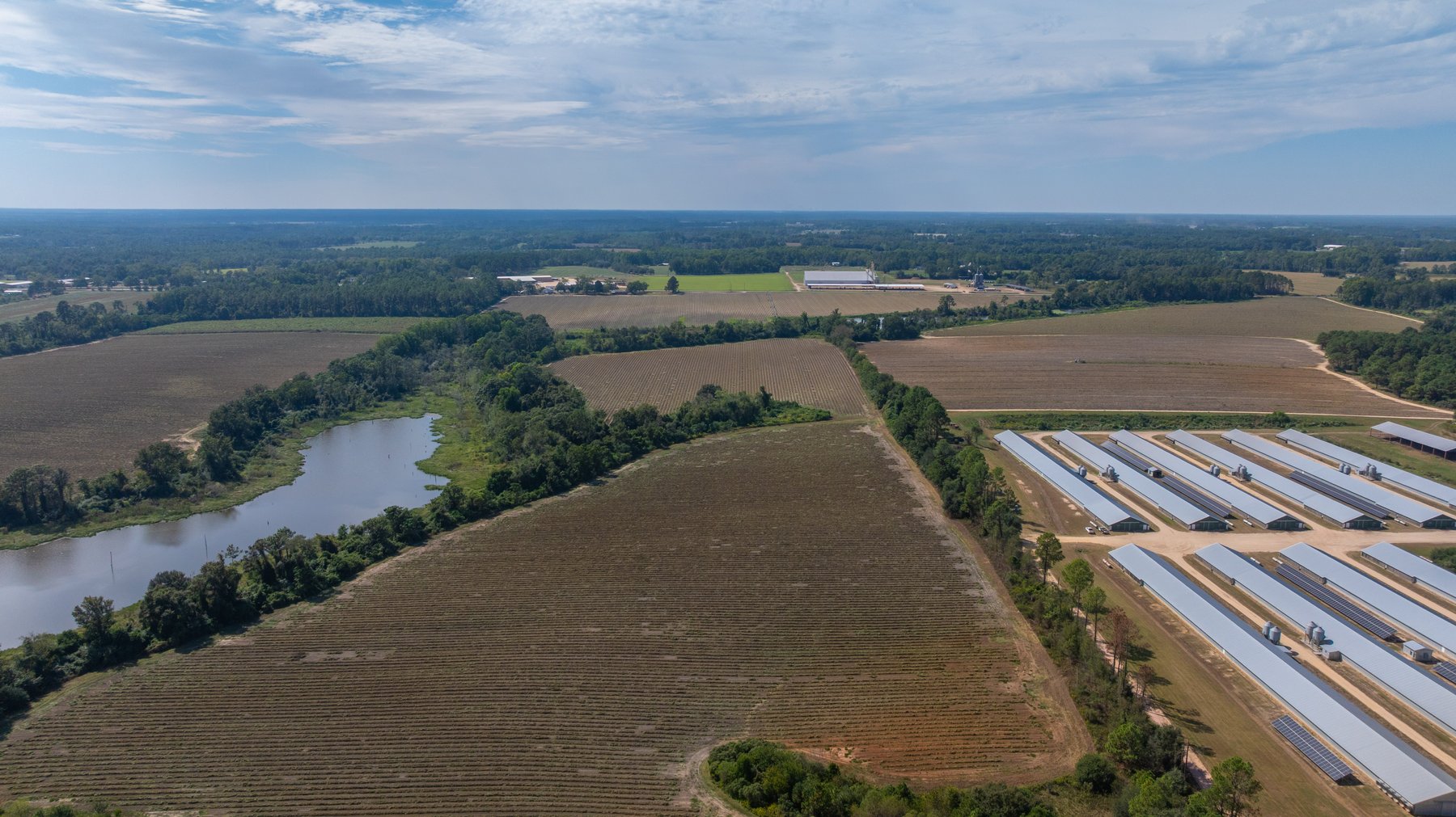 Image for The Earnest Lee Hunnicutt Estate - 64.86± Acres of Farmland & Recreation