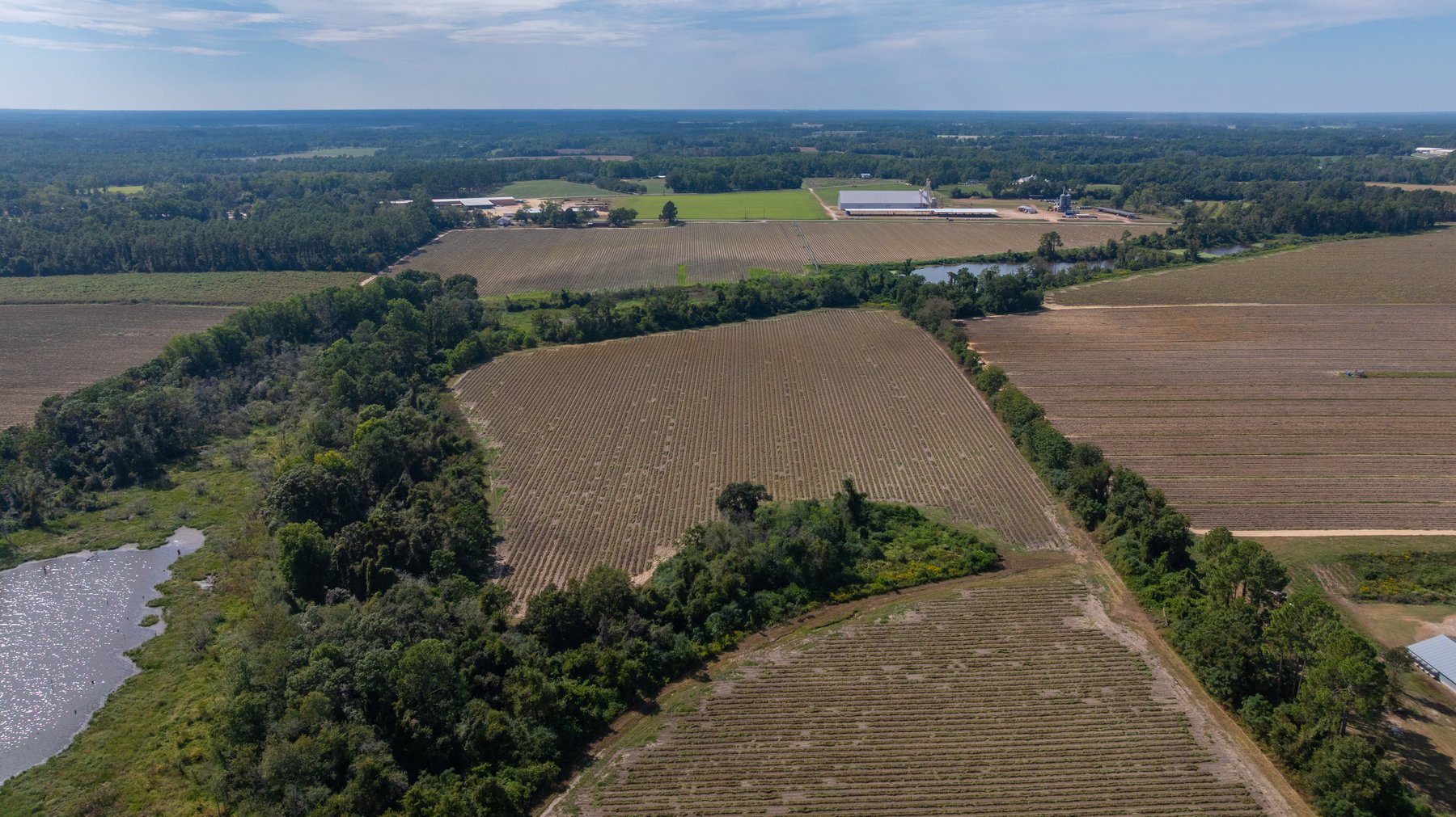 Image for The Earnest Lee Hunnicutt Estate - 64.86± Acres of Farmland & Recreation