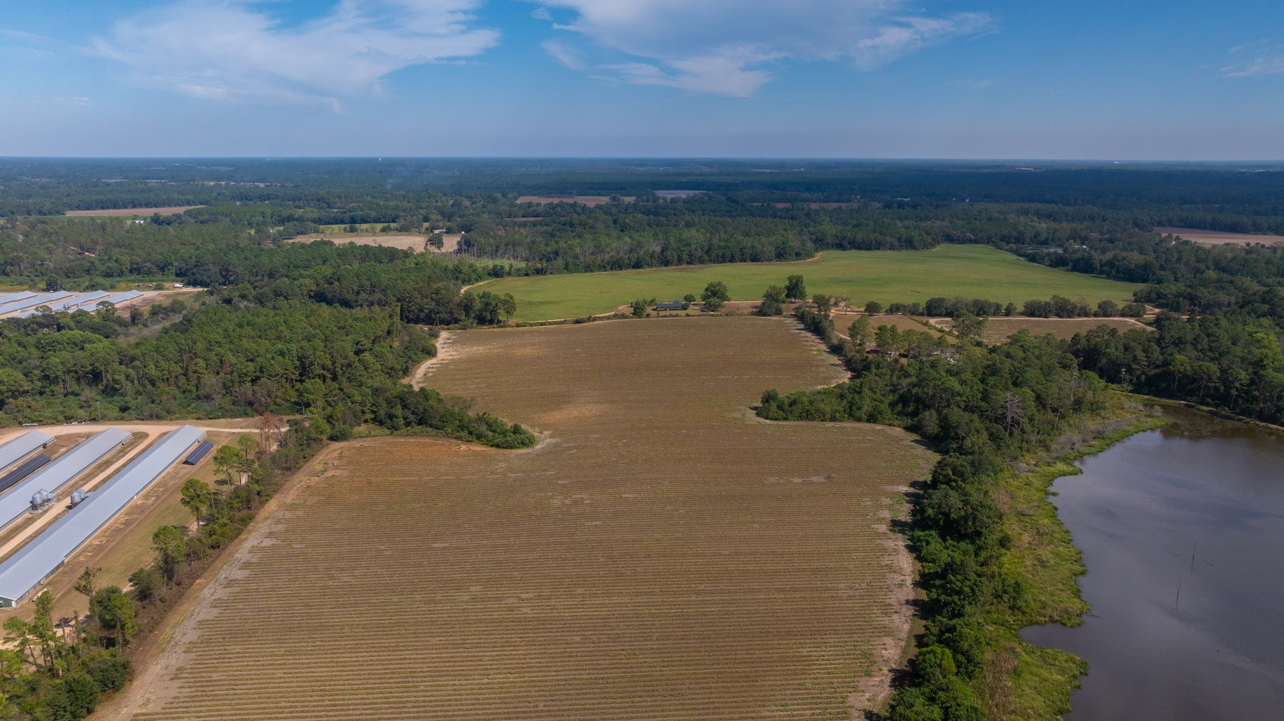 Image for The Earnest Lee Hunnicutt Estate - 64.86± Acres of Farmland & Recreation