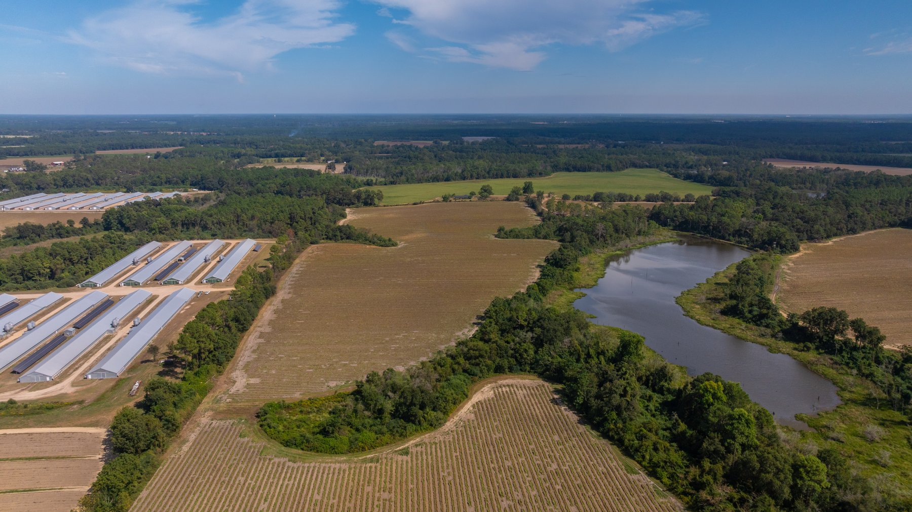 Image for The Earnest Lee Hunnicutt Estate - 64.86± Acres of Farmland & Recreation