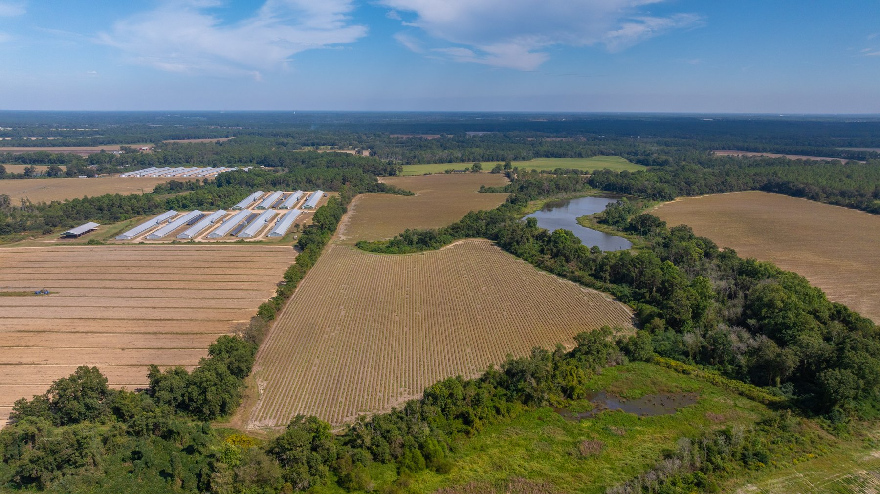 Image for The Earnest Lee Hunnicutt Estate - 64.86± Acres of Farmland & Recreation