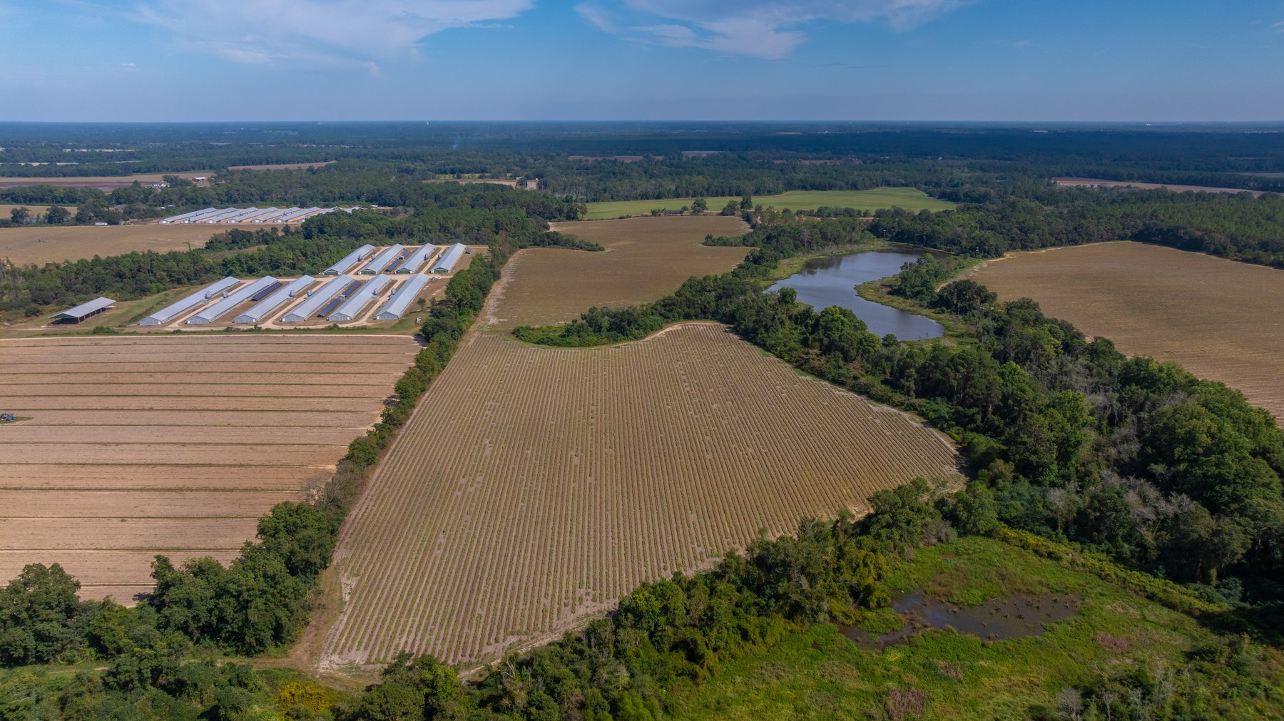 Image for The Earnest Lee Hunnicutt Estate - 64.86± Acres of Farmland & Recreation