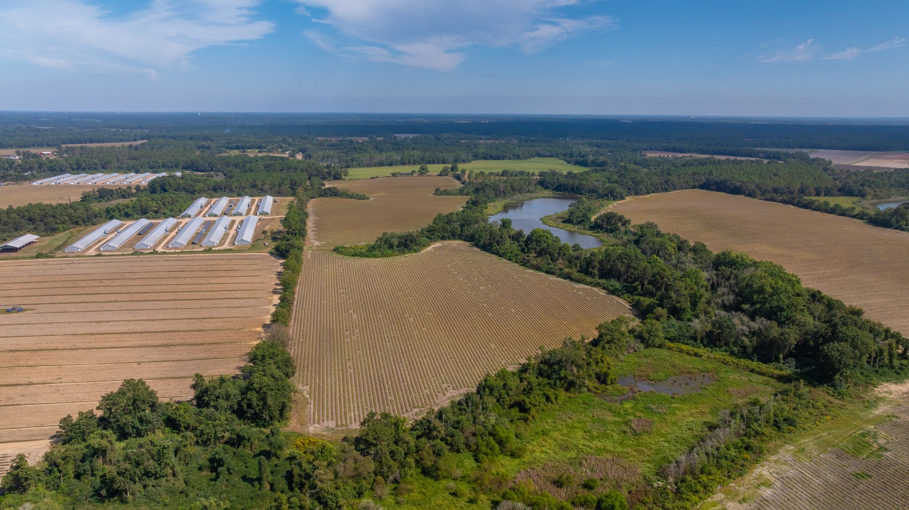 Image for The Earnest Lee Hunnicutt Estate - 64.86± Acres of Farmland & Recreation