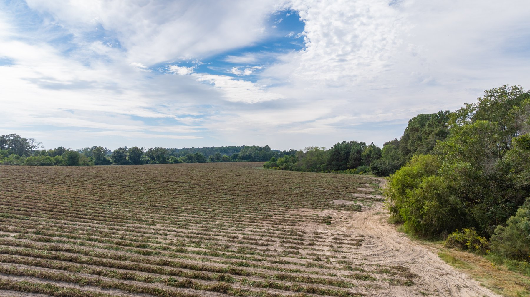 Image for The Earnest Lee Hunnicutt Estate - 64.86± Acres of Farmland & Recreation