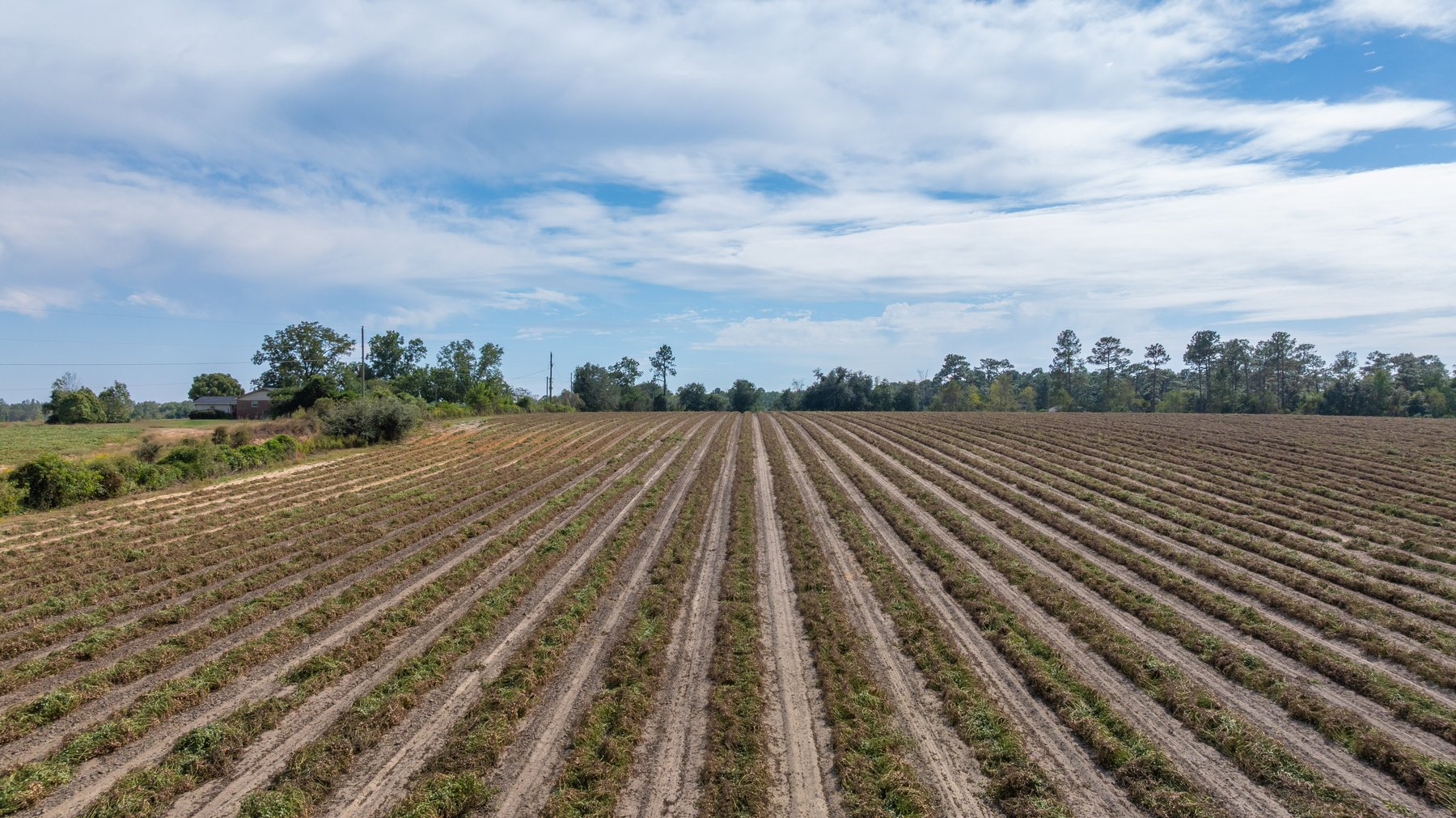Image for The Earnest Lee Hunnicutt Estate - 64.86± Acres of Farmland & Recreation
