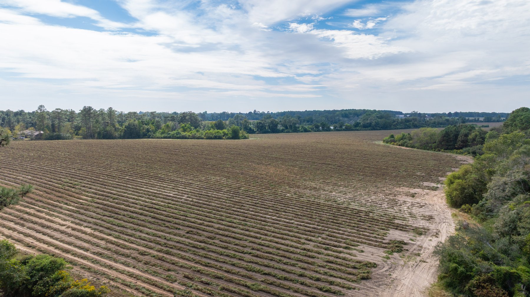 Image for The Earnest Lee Hunnicutt Estate - 64.86± Acres of Farmland & Recreation