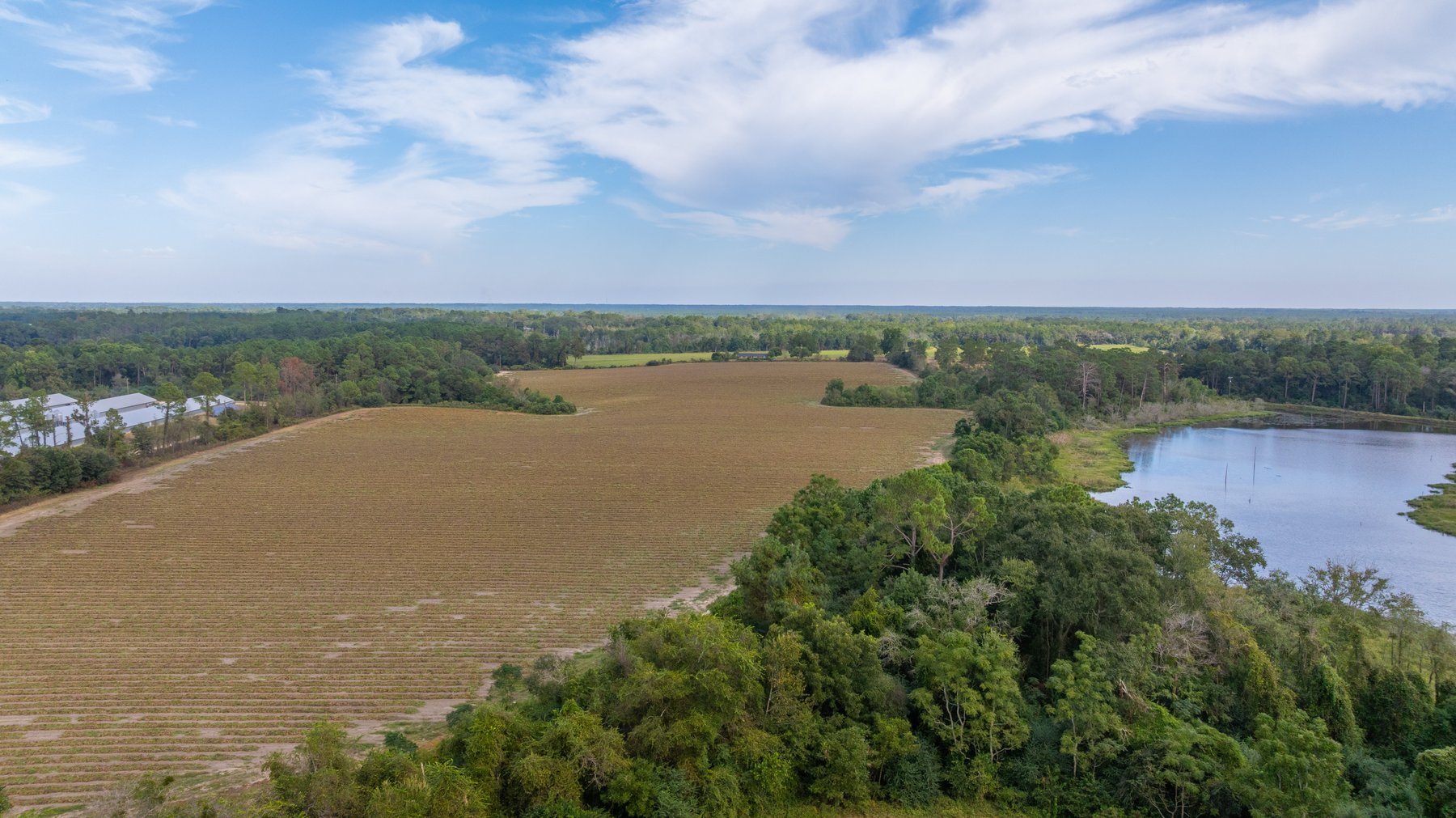 Image for The Earnest Lee Hunnicutt Estate - 64.86± Acres of Farmland & Recreation