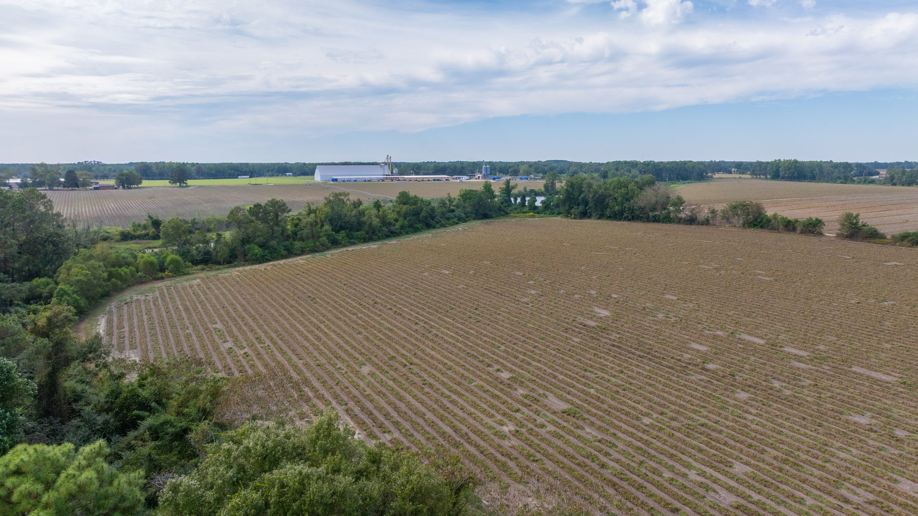 Image for The Earnest Lee Hunnicutt Estate - 64.86± Acres of Farmland & Recreation