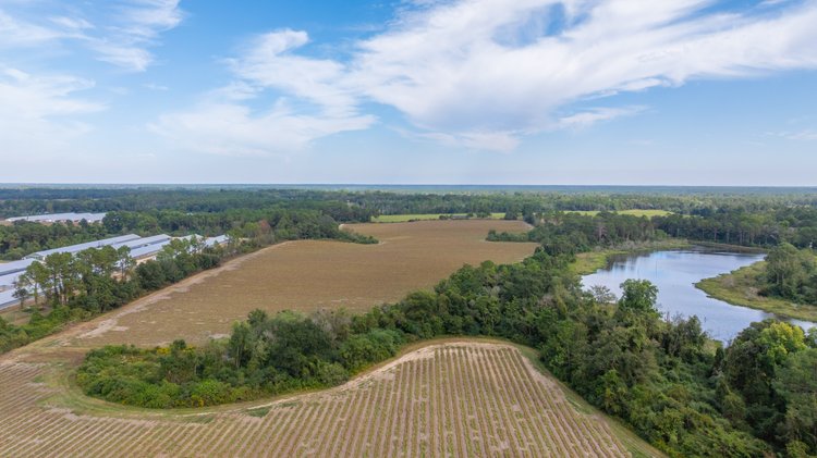 Image for The Earnest Lee Hunnicutt Estate - 64.86± Acres of Farmland & Recreation
