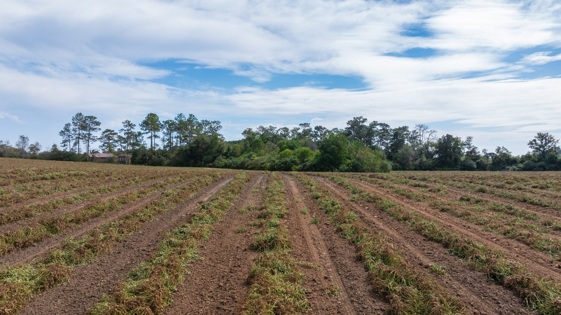 Image for The Earnest Lee Hunnicutt Estate - 64.86± Acres of Farmland & Recreation