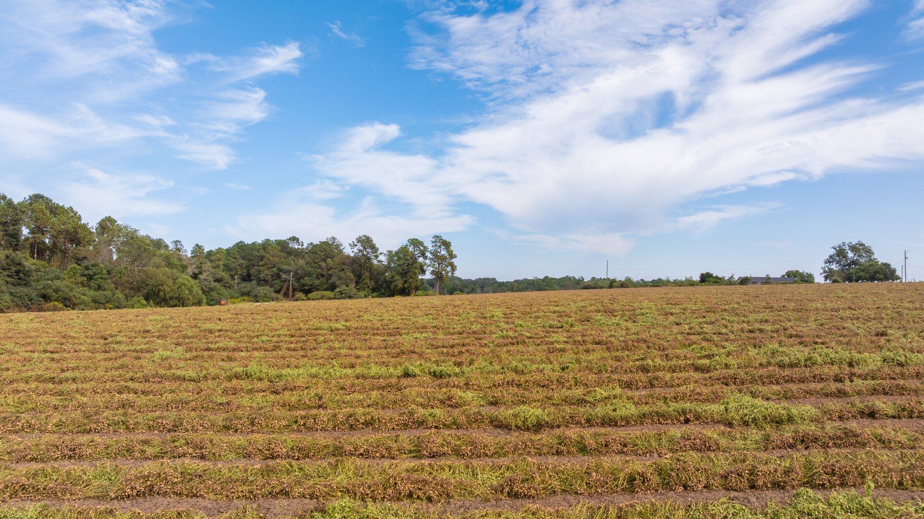 Image for The Earnest Lee Hunnicutt Estate - 64.86± Acres of Farmland & Recreation