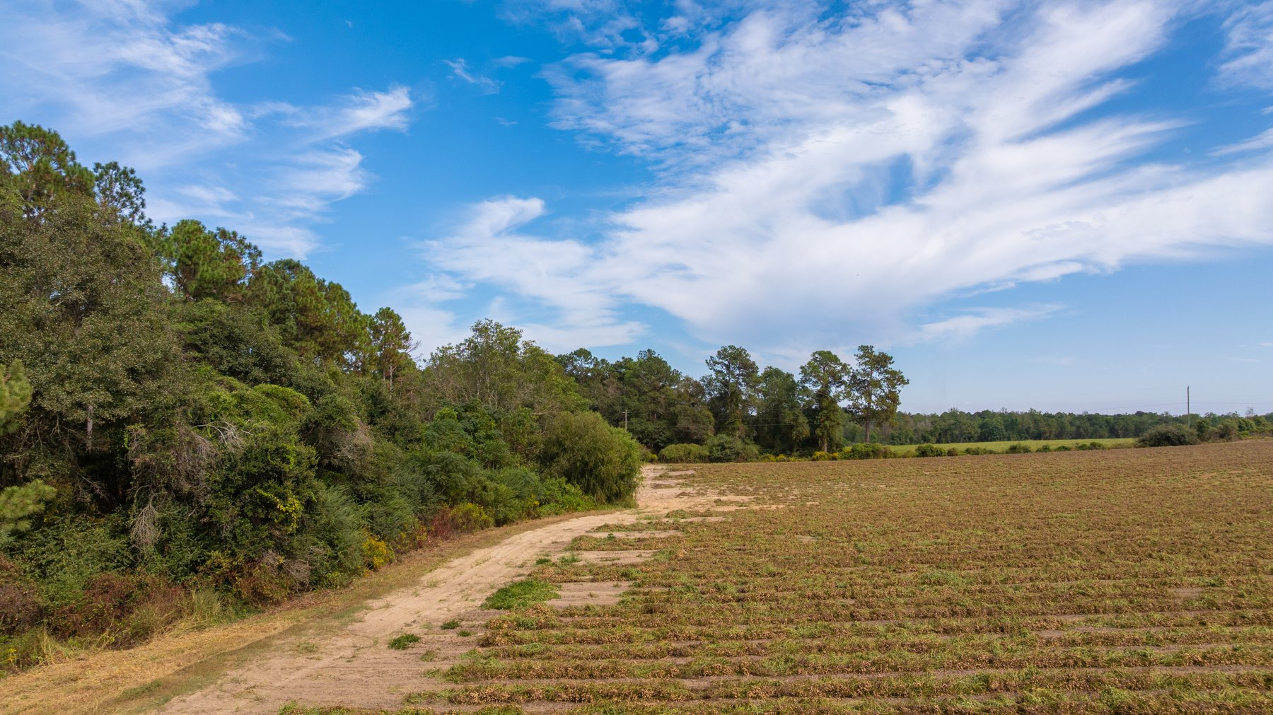 Image for The Earnest Lee Hunnicutt Estate - 64.86± Acres of Farmland & Recreation