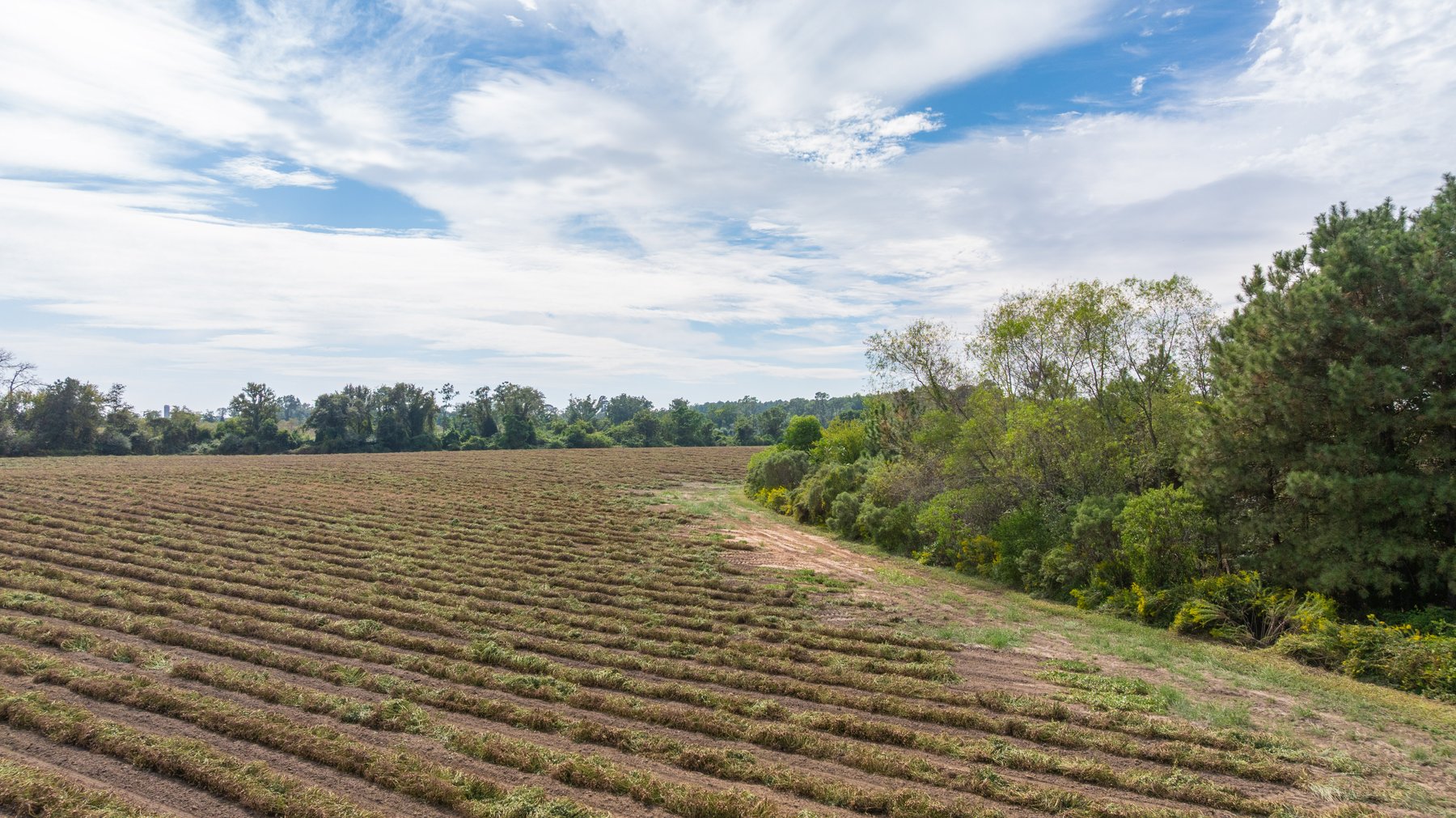 Image for The Earnest Lee Hunnicutt Estate - 64.86± Acres of Farmland & Recreation