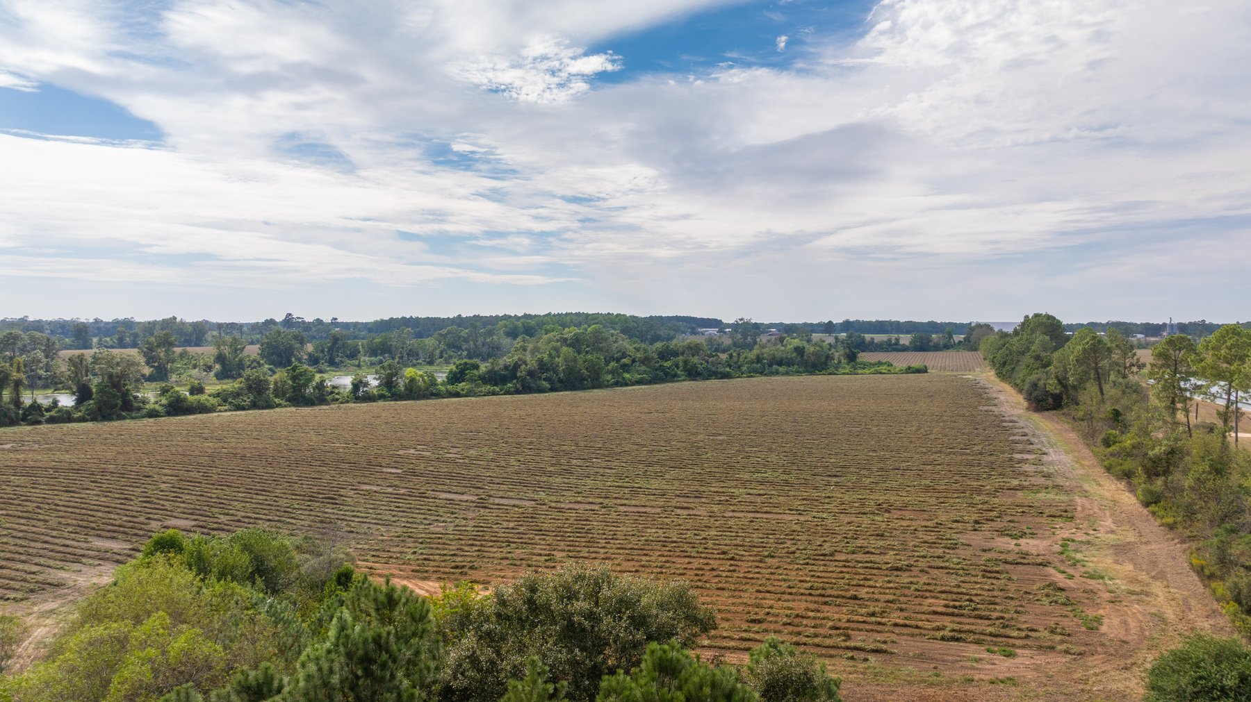 Image for The Earnest Lee Hunnicutt Estate - 64.86± Acres of Farmland & Recreation