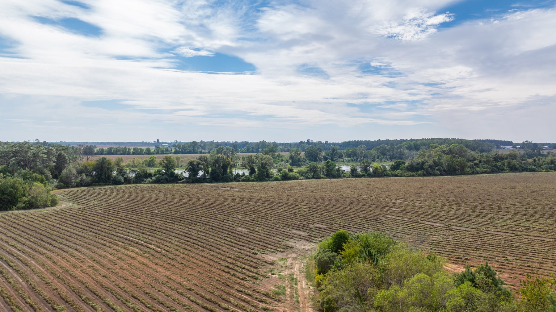 Image for The Earnest Lee Hunnicutt Estate - 64.86± Acres of Farmland & Recreation