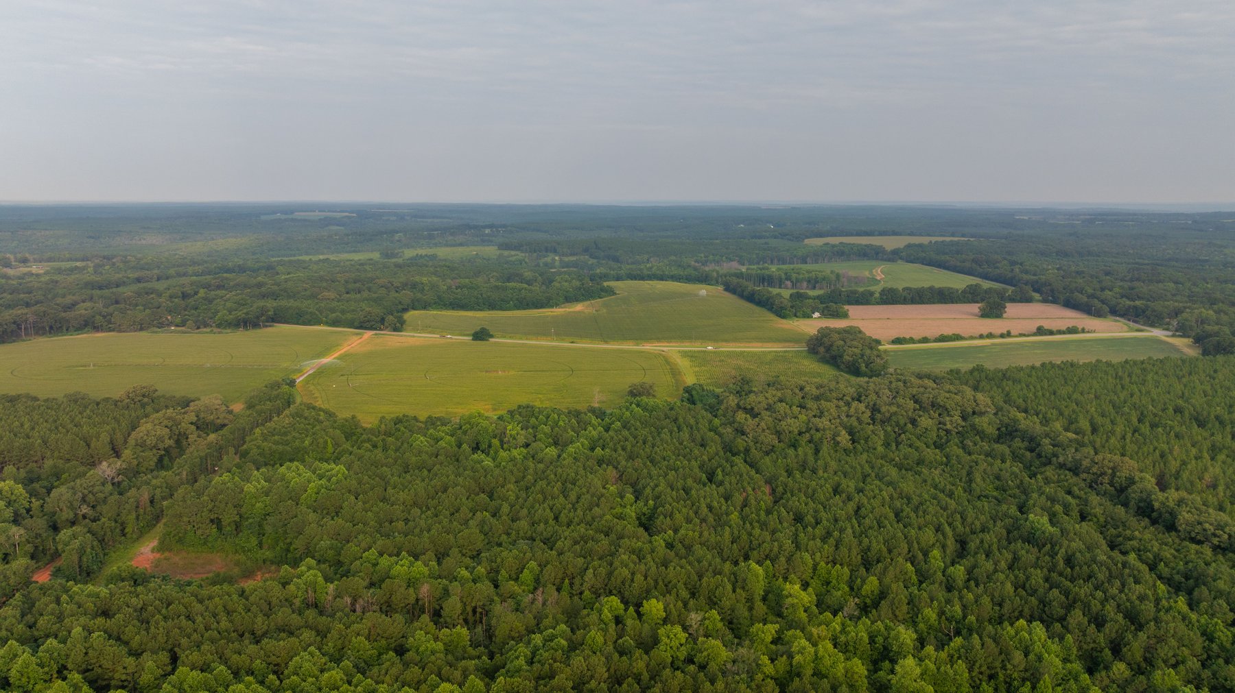 Image for Wright Place - 61+/- Acres - Premium Mini Farm - Merchantable Timber - Great Homesite Potential