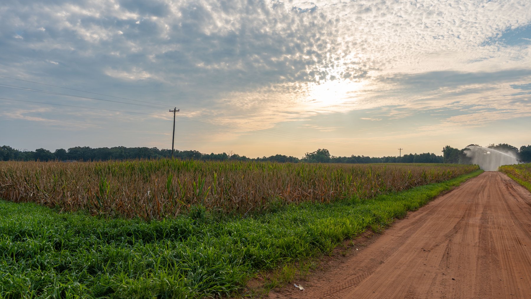 Image for Wright Place - 61+/- Acres - Premium Mini Farm - Merchantable Timber - Great Homesite Potential