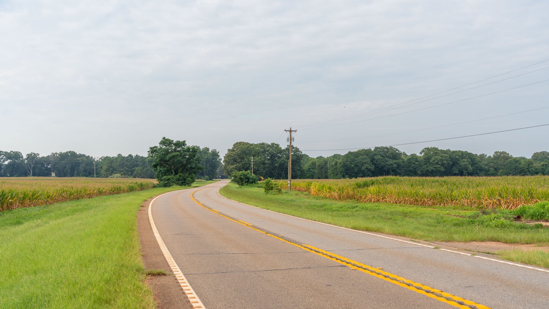 Image for Wright Place - 61+/- Acres - Premium Mini Farm - Merchantable Timber - Great Homesite Potential