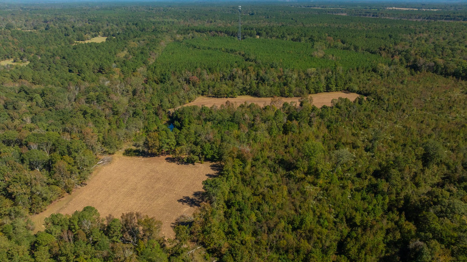 Image for 170+/- Acres - The Ohoopee River Retreat - Prime Recreational Land w/ Hunting Cabin Offered Divided & as a Whole
