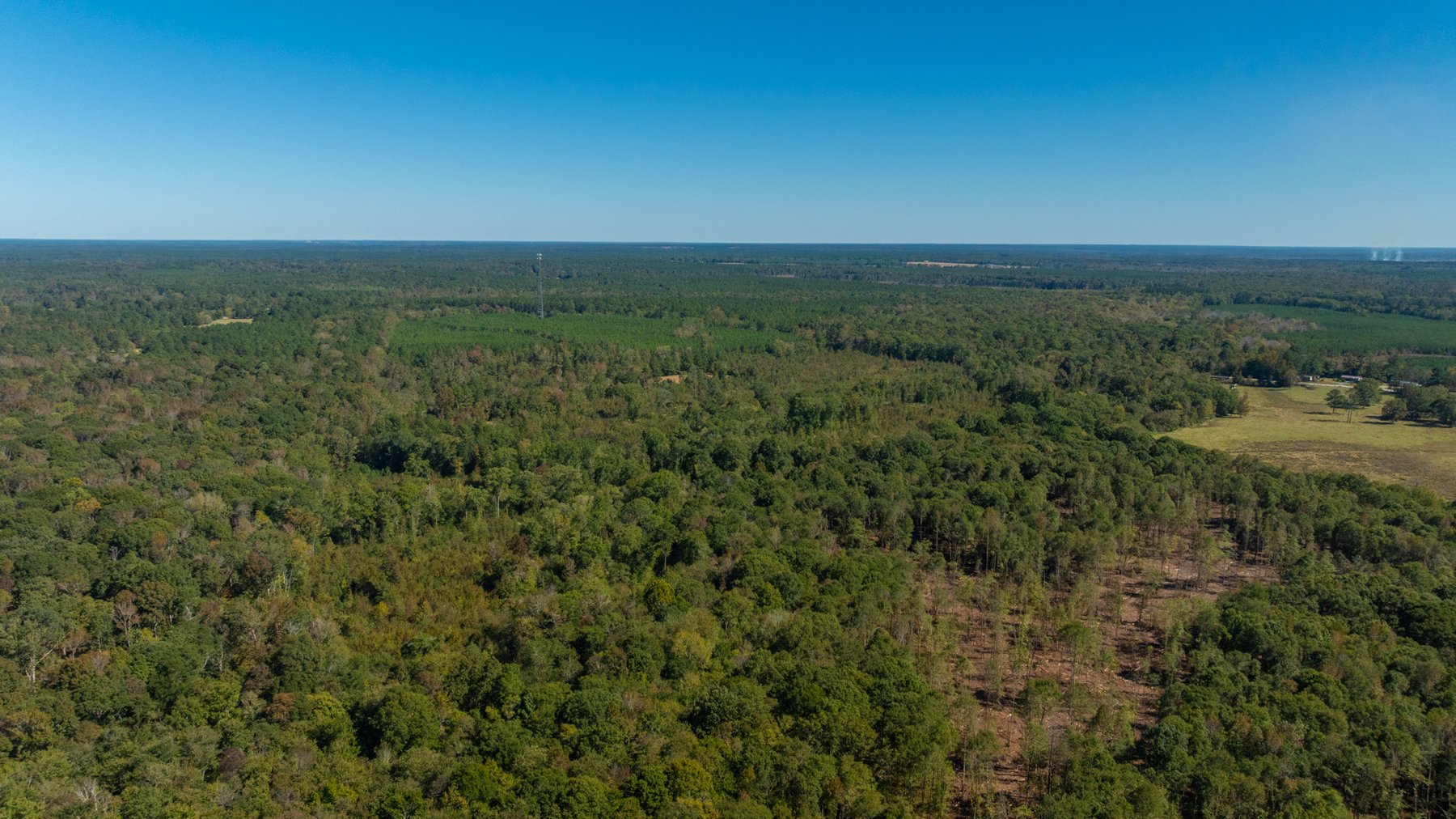 Image for 170+/- Acres - The Ohoopee River Retreat - Prime Recreational Land w/ Hunting Cabin Offered Divided & as a Whole