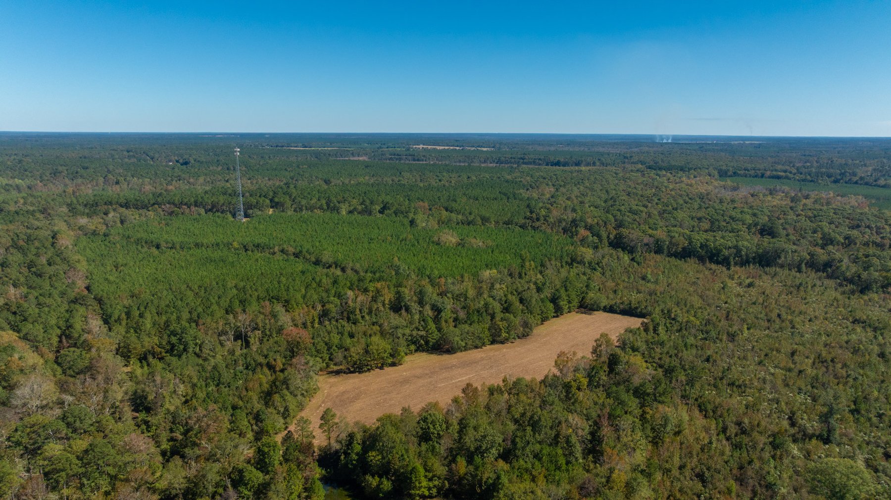Image for 170+/- Acres - The Ohoopee River Retreat - Prime Recreational Land w/ Hunting Cabin Offered Divided & as a Whole