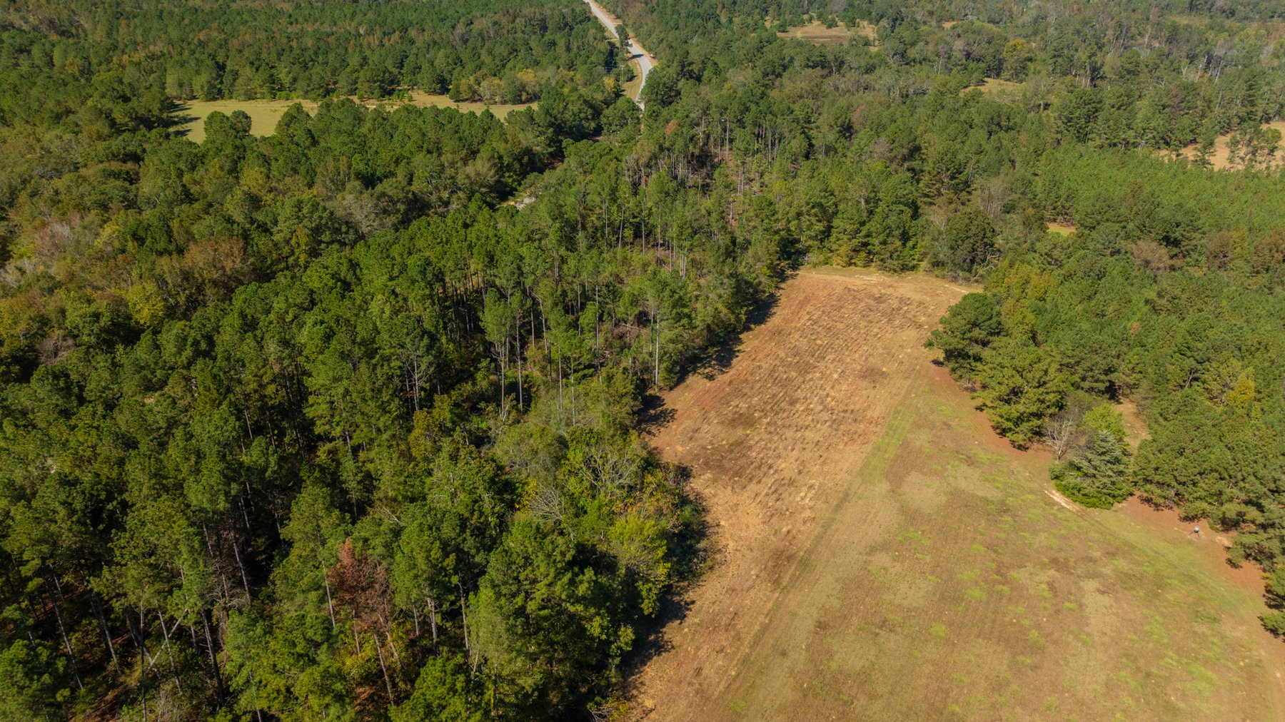 Image for 170+/- Acres - The Ohoopee River Retreat - Prime Recreational Land w/ Hunting Cabin Offered Divided & as a Whole
