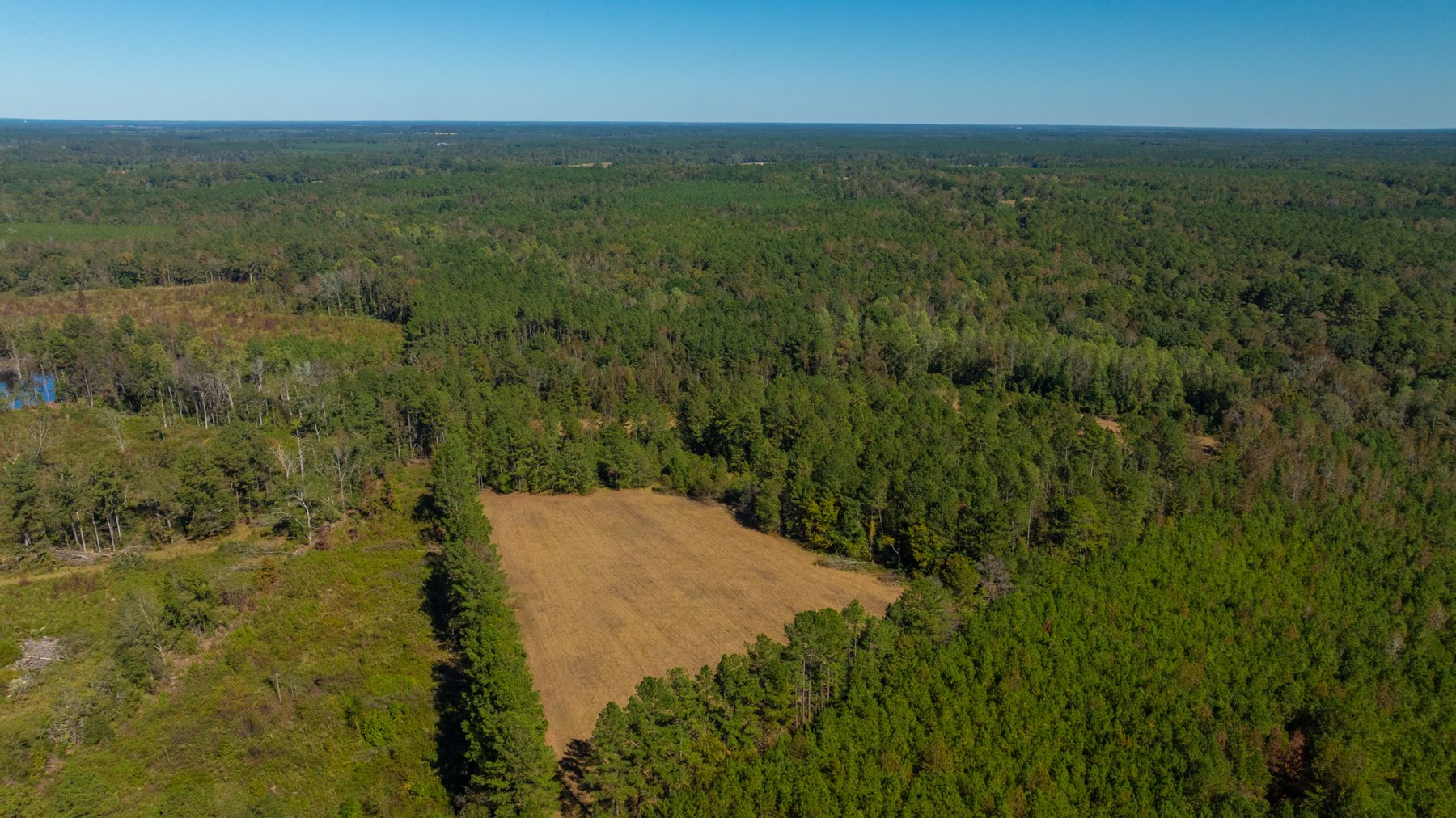 Image for 170+/- Acres - The Ohoopee River Retreat - Prime Recreational Land w/ Hunting Cabin Offered Divided & as a Whole