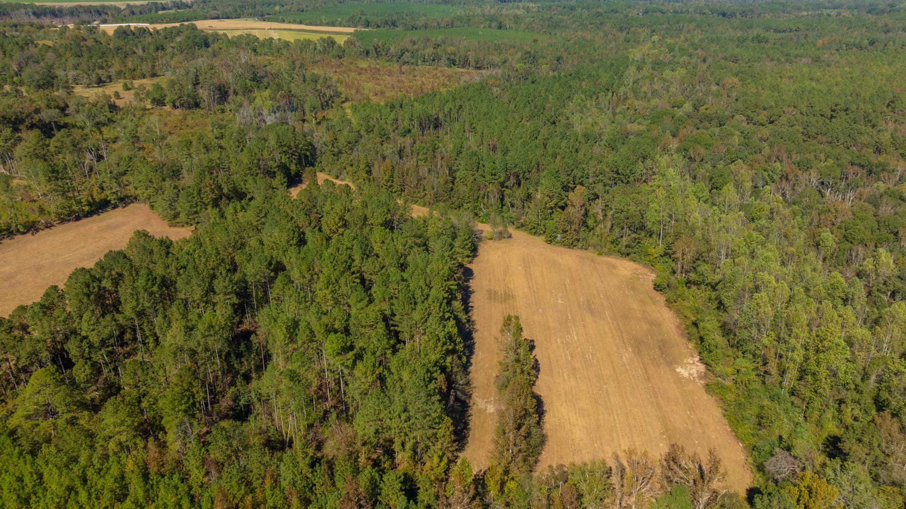 Image for 170+/- Acres - The Ohoopee River Retreat - Prime Recreational Land w/ Hunting Cabin Offered Divided & as a Whole