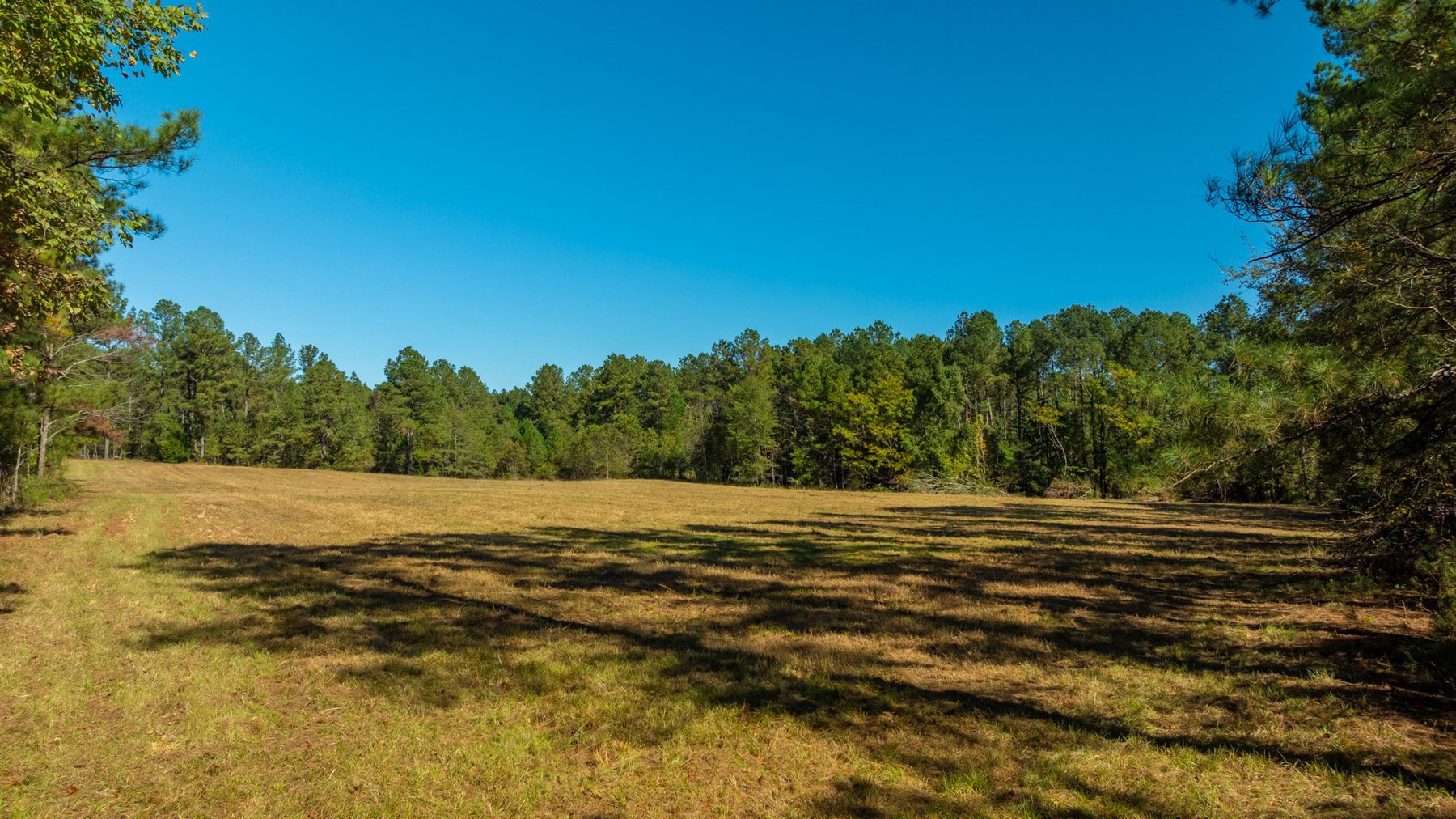 Image for 170+/- Acres - The Ohoopee River Retreat - Prime Recreational Land w/ Hunting Cabin Offered Divided & as a Whole