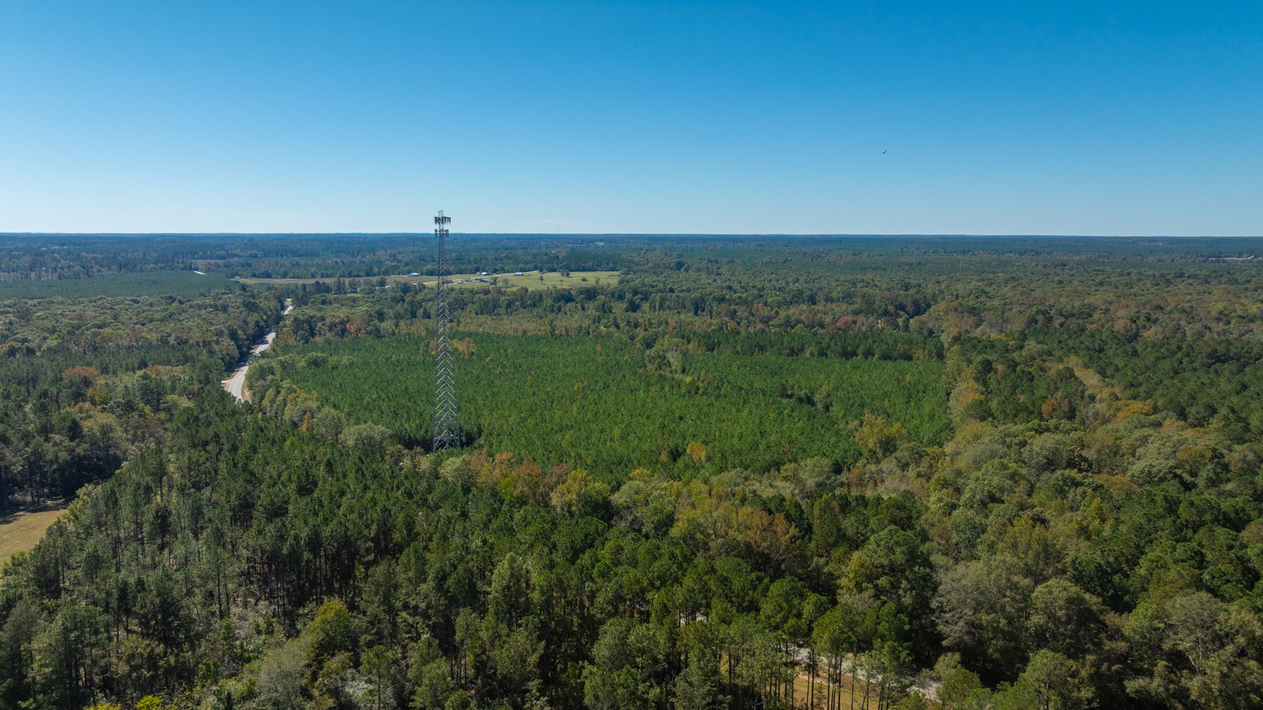 Image for 170+/- Acres - The Ohoopee River Retreat - Prime Recreational Land w/ Hunting Cabin Offered Divided & as a Whole