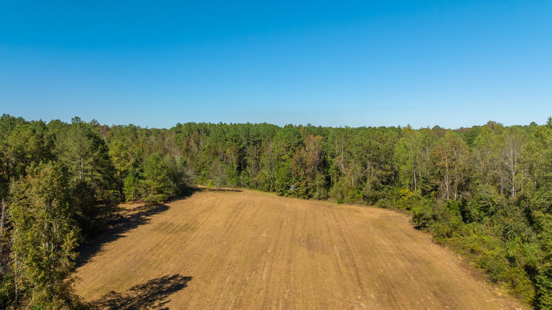 Image for 170+/- Acres - The Ohoopee River Retreat - Prime Recreational Land w/ Hunting Cabin Offered Divided & as a Whole