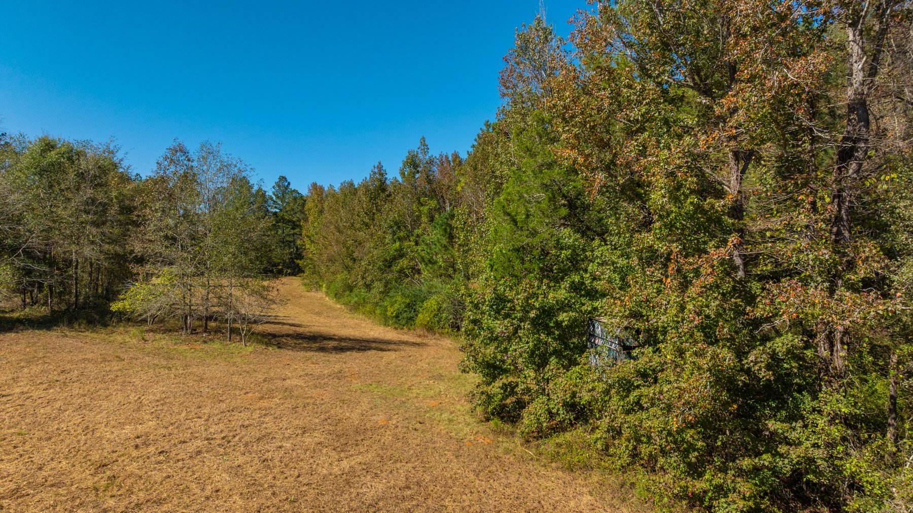 Image for 170+/- Acres - The Ohoopee River Retreat - Prime Recreational Land w/ Hunting Cabin Offered Divided & as a Whole