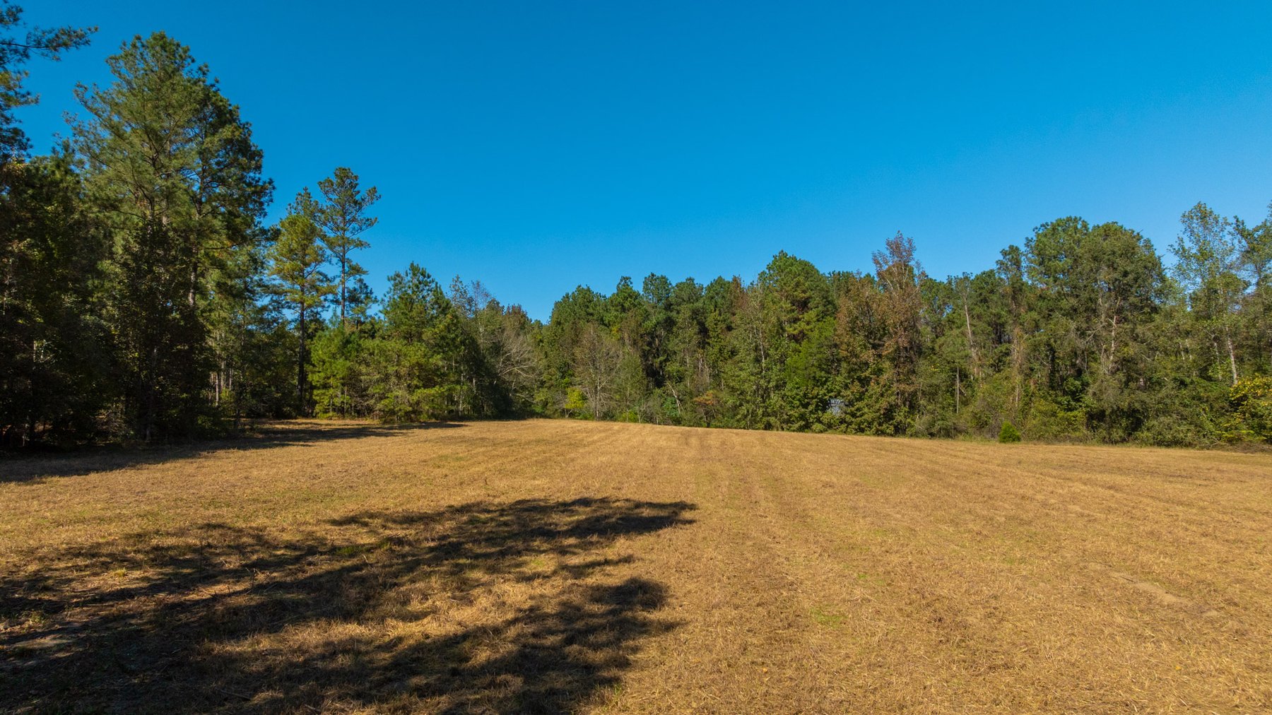 Image for 170+/- Acres - The Ohoopee River Retreat - Prime Recreational Land w/ Hunting Cabin Offered Divided & as a Whole