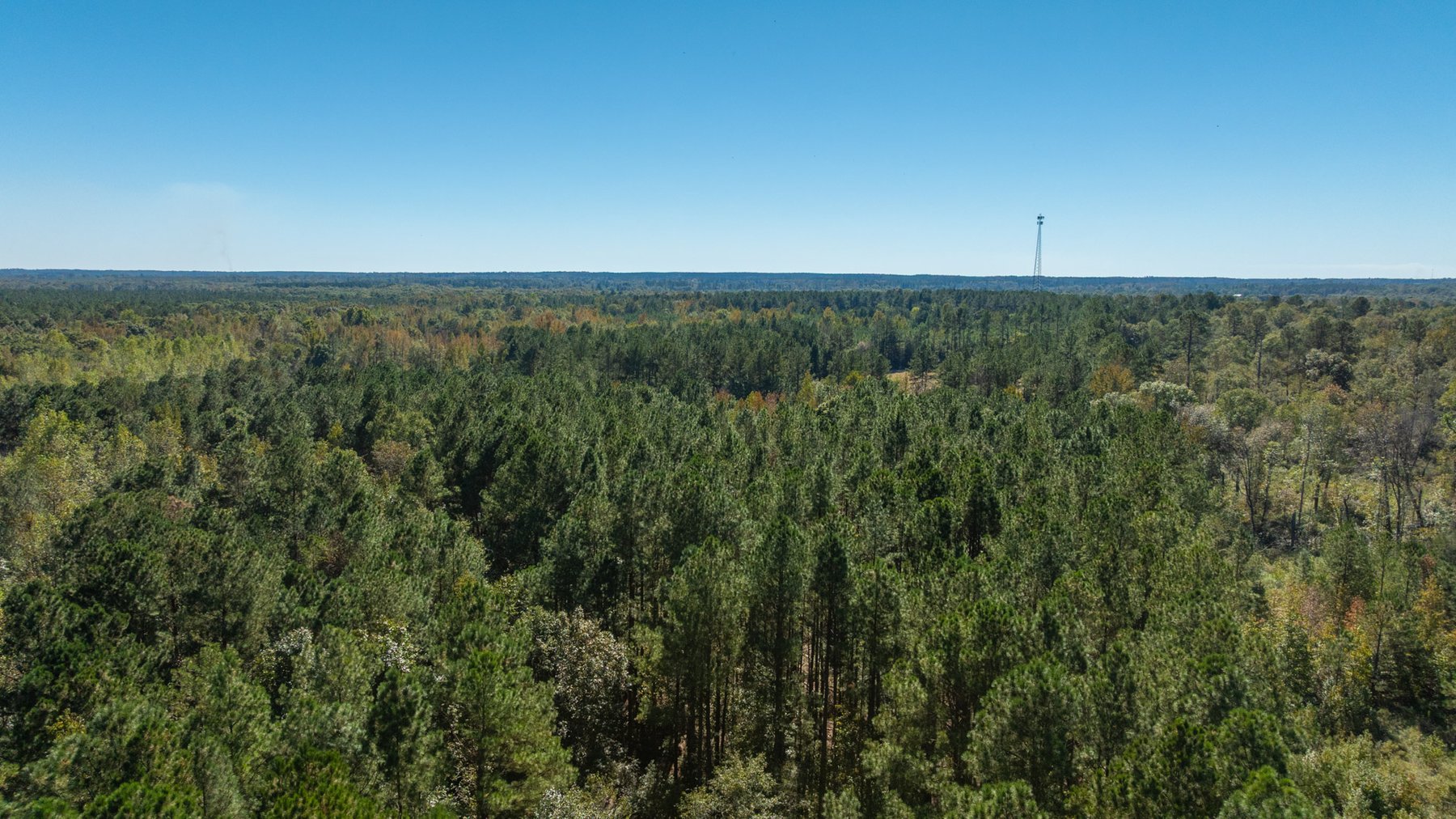 Image for 170+/- Acres - The Ohoopee River Retreat - Prime Recreational Land w/ Hunting Cabin Offered Divided & as a Whole