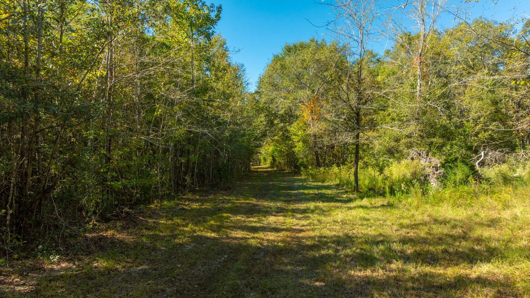 Image for 170+/- Acres - The Ohoopee River Retreat - Prime Recreational Land w/ Hunting Cabin Offered Divided & as a Whole