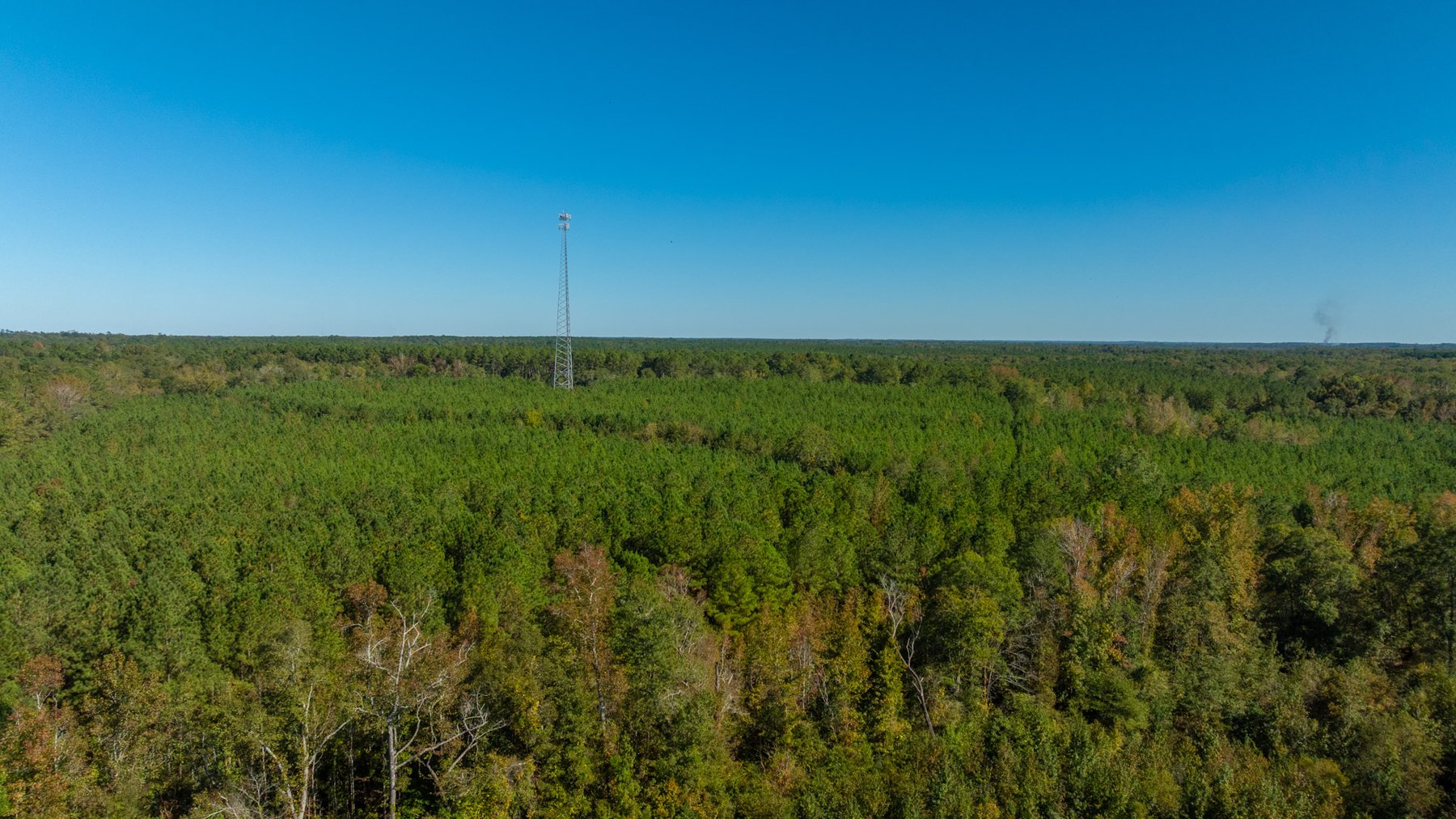 Image for 170+/- Acres - The Ohoopee River Retreat - Prime Recreational Land w/ Hunting Cabin Offered Divided & as a Whole