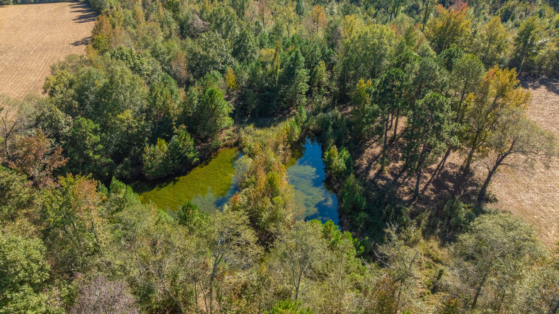 Image for 170+/- Acres - The Ohoopee River Retreat - Prime Recreational Land w/ Hunting Cabin Offered Divided & as a Whole