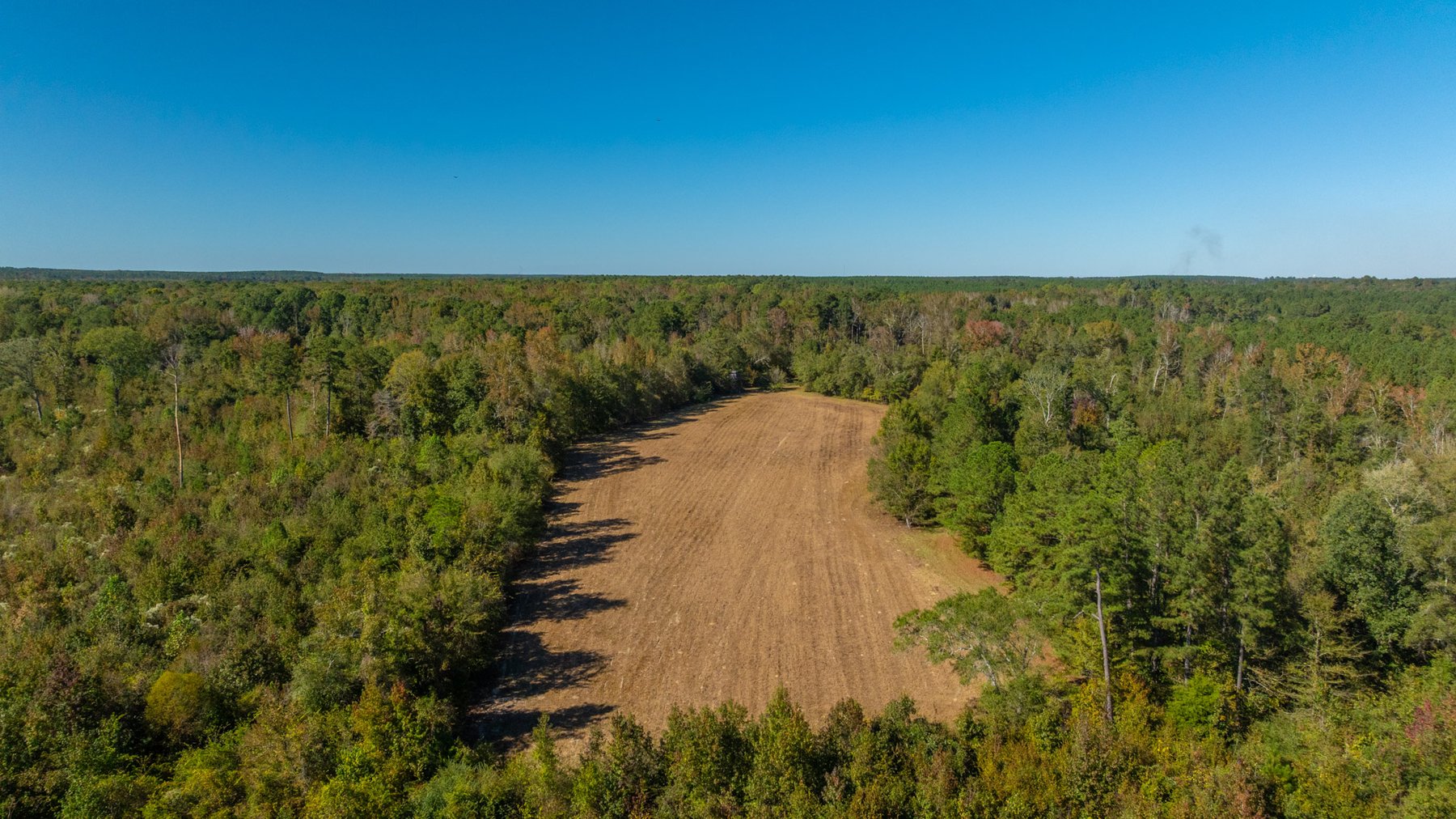 Image for 170+/- Acres - The Ohoopee River Retreat - Prime Recreational Land w/ Hunting Cabin Offered Divided & as a Whole