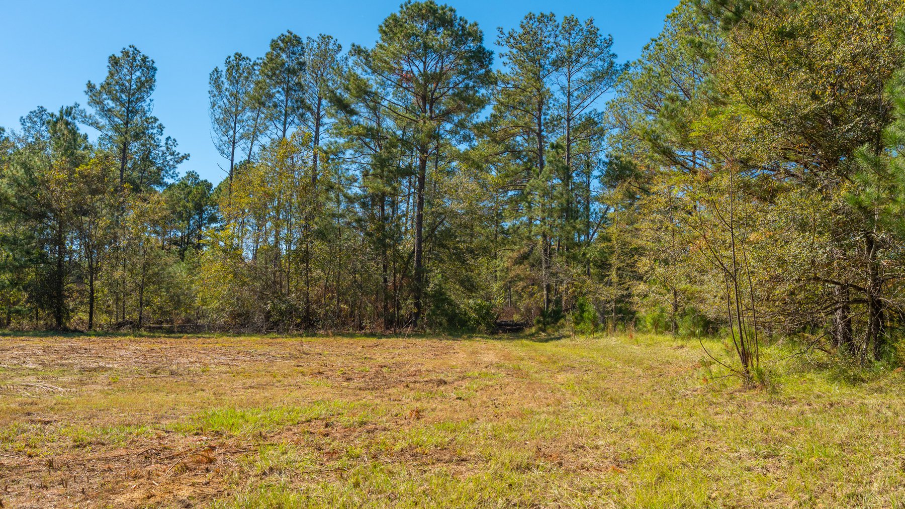 Image for 170+/- Acres - The Ohoopee River Retreat - Prime Recreational Land w/ Hunting Cabin Offered Divided & as a Whole