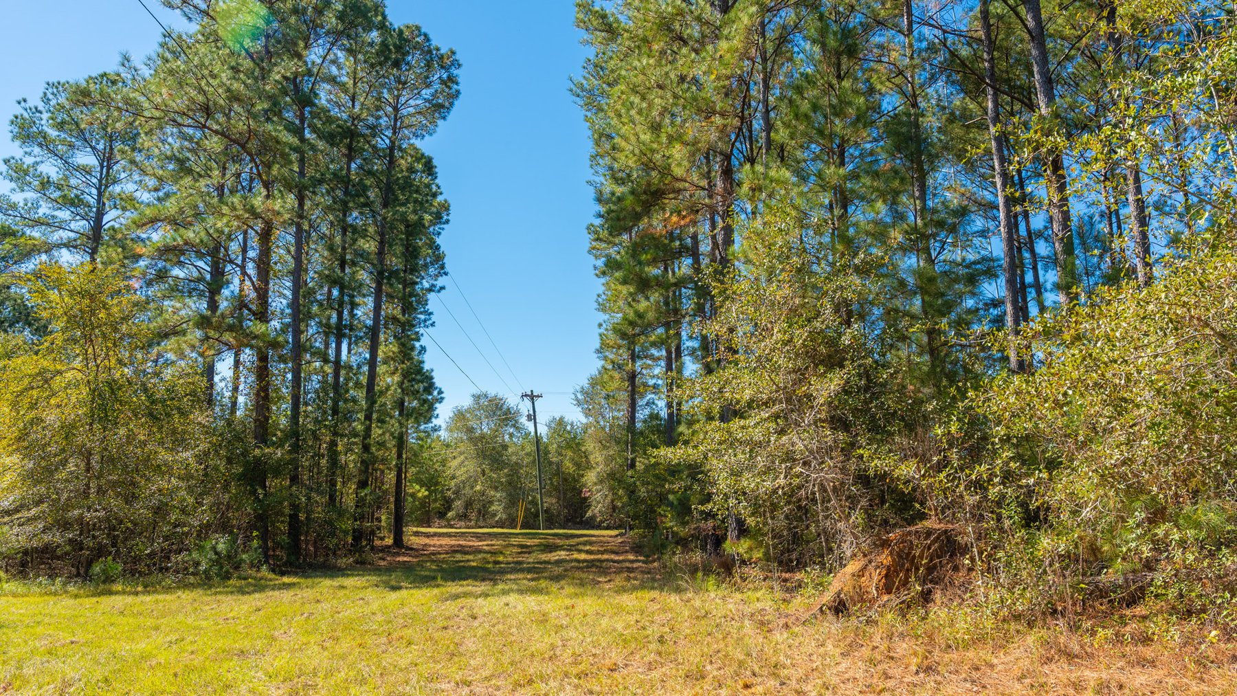 Image for 170+/- Acres - The Ohoopee River Retreat - Prime Recreational Land w/ Hunting Cabin Offered Divided & as a Whole