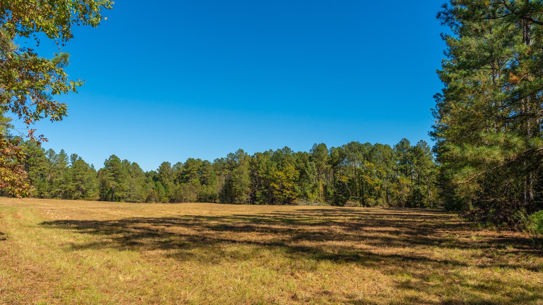 Image for 170+/- Acres - The Ohoopee River Retreat - Prime Recreational Land w/ Hunting Cabin Offered Divided & as a Whole